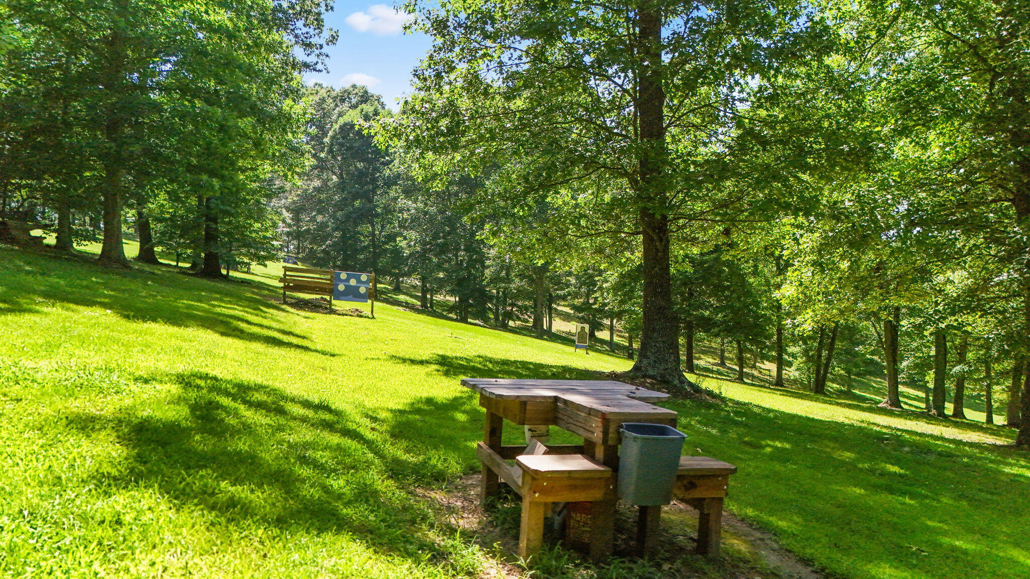 315 Buckskin Property Photo 50