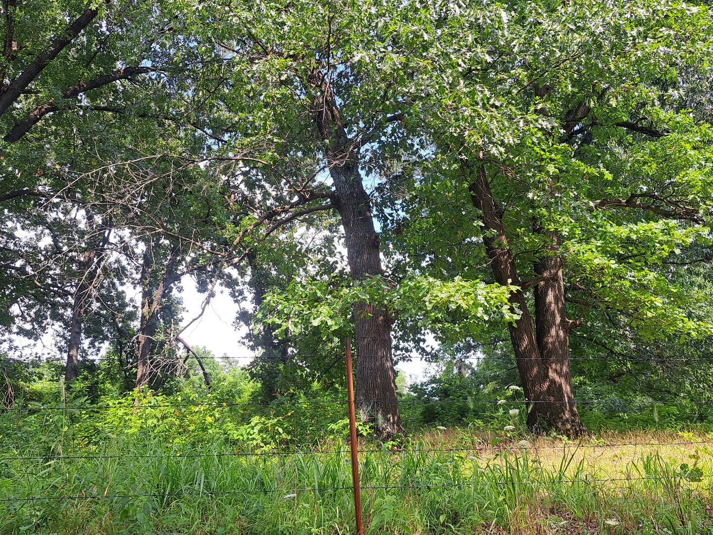 000 Little Mill Road Property Photo 2
