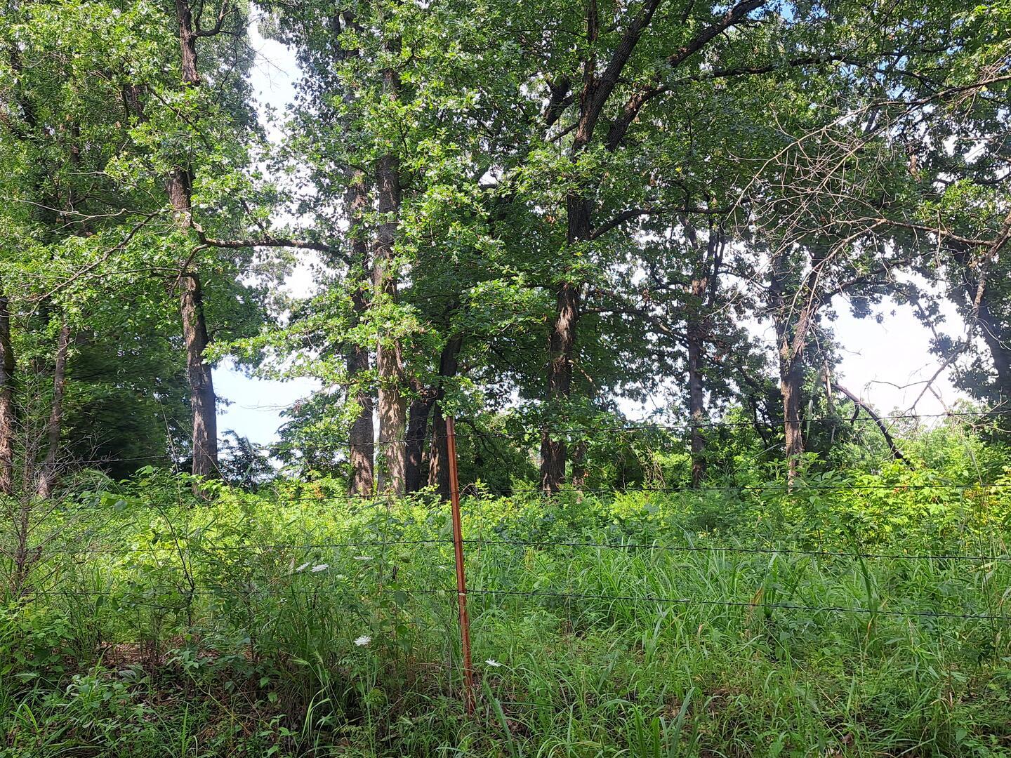 000 Little Mill Road Property Photo 3