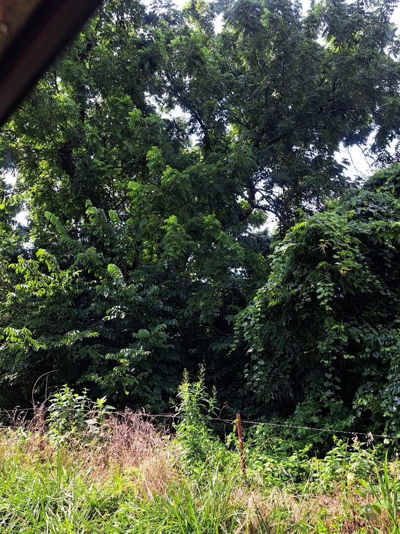000 Reindeer Road Property Photo 2