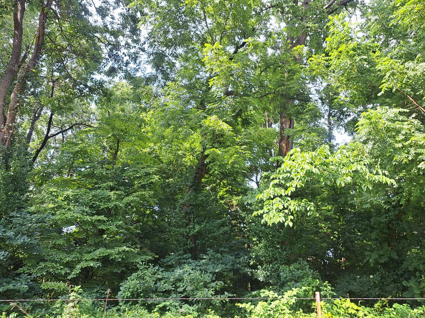 000 Reindeer Road Property Photo 3