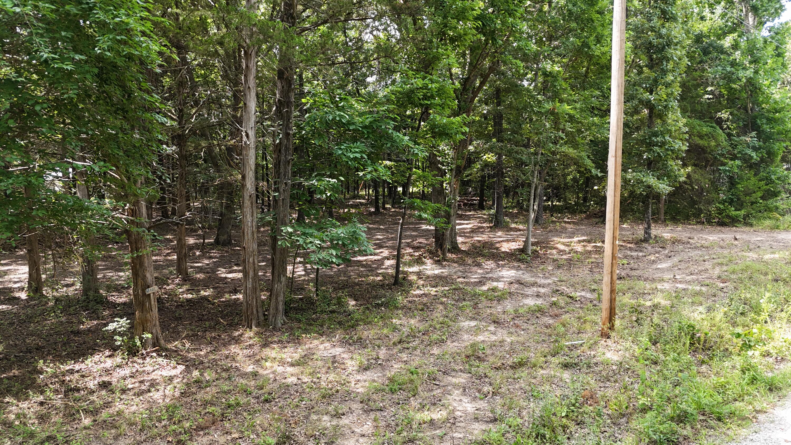 000 Deer Run Street Property Photo 4