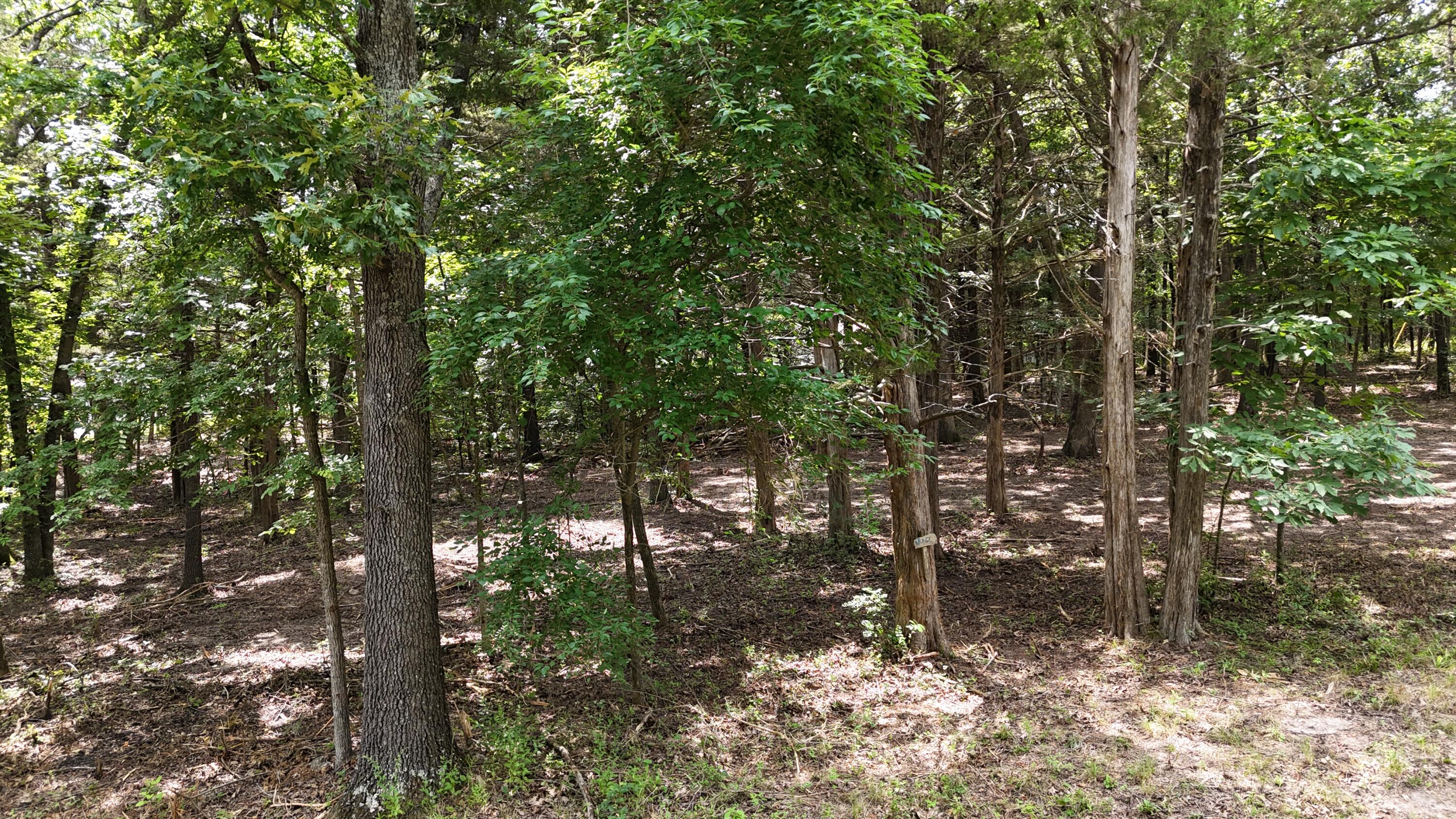 000 Deer Run Street Property Photo 5