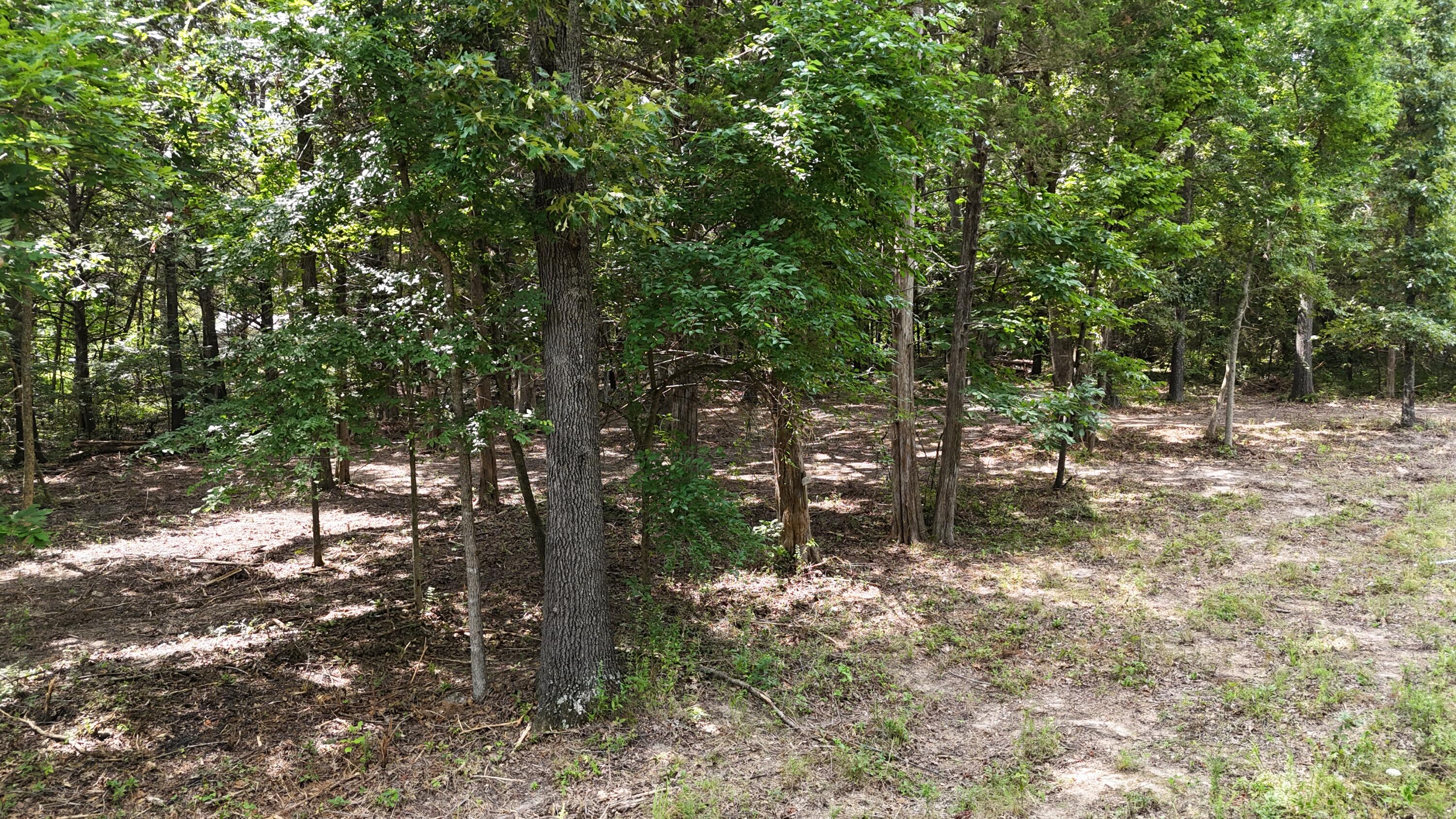 000 Deer Run Street Property Photo 6