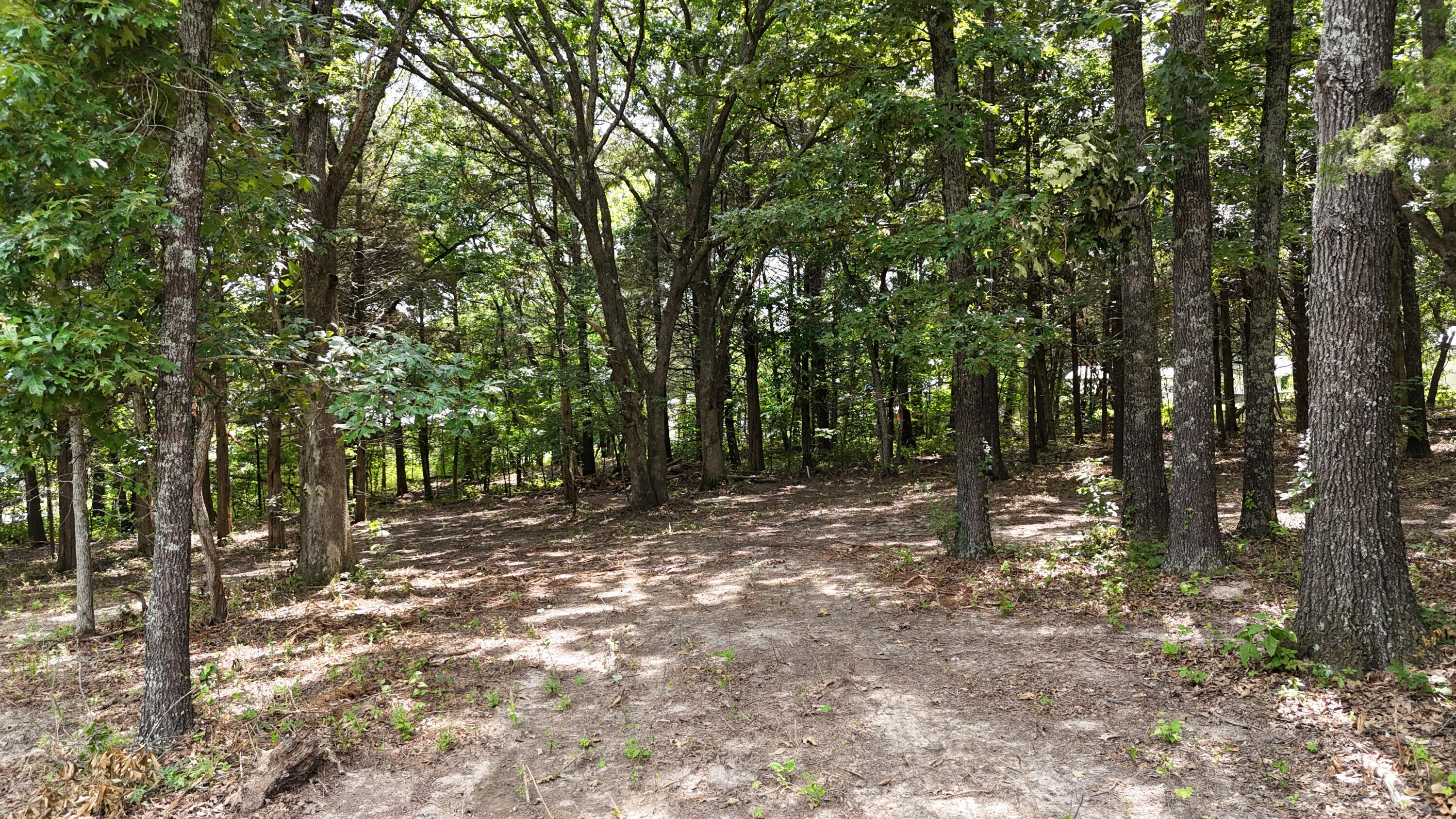000 Deer Run Street Property Photo 7