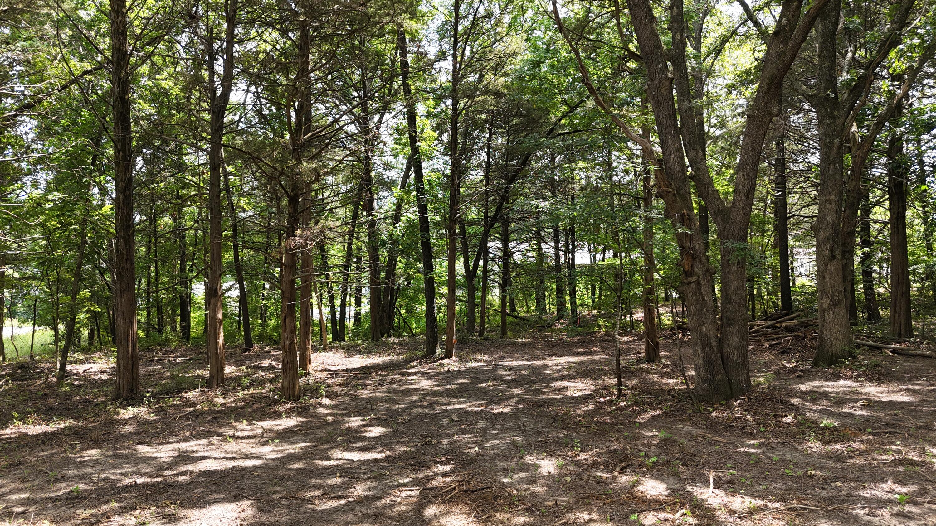 000 Deer Run Street Property Photo 8