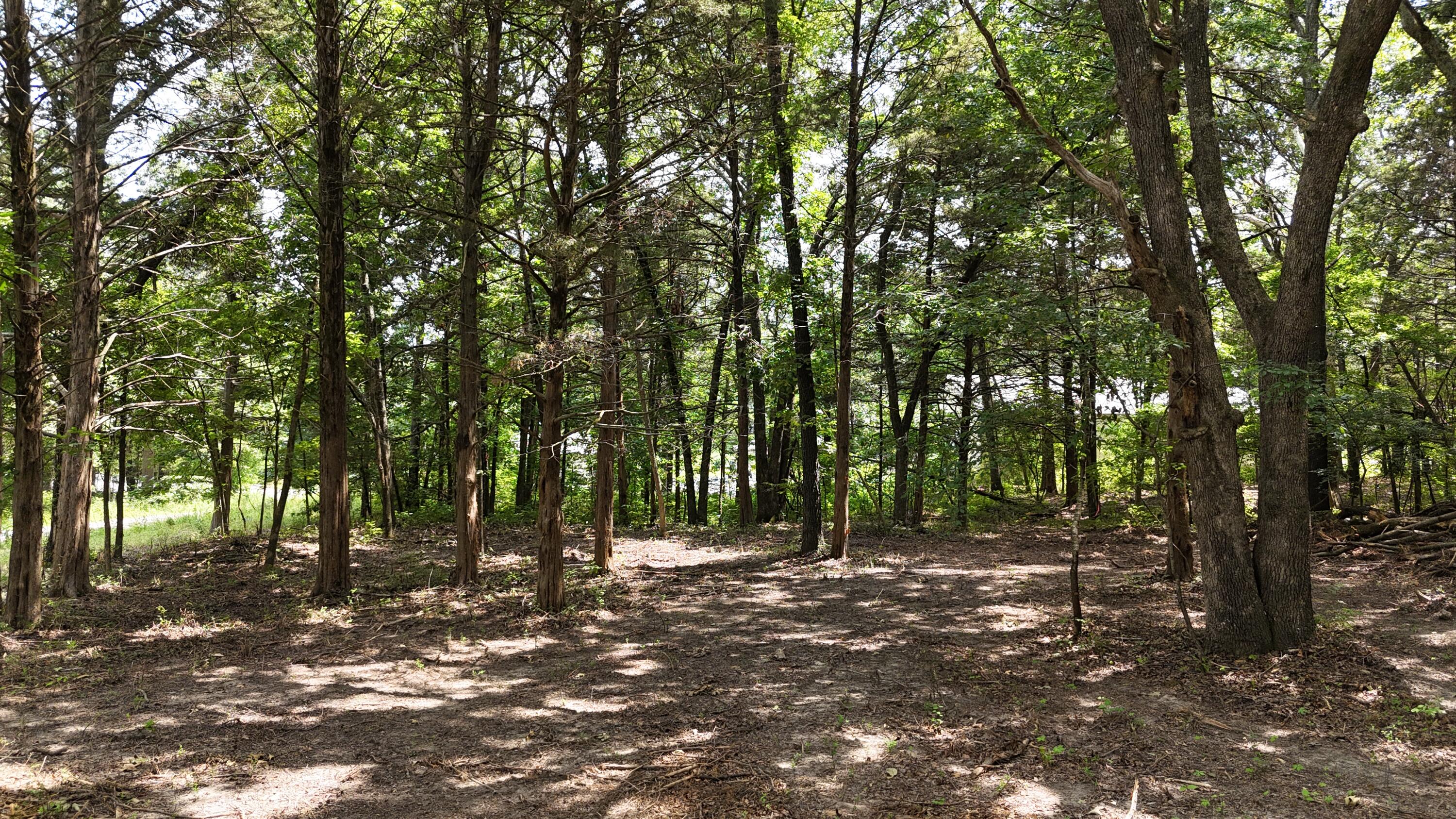 000 Deer Run Street Property Photo 10