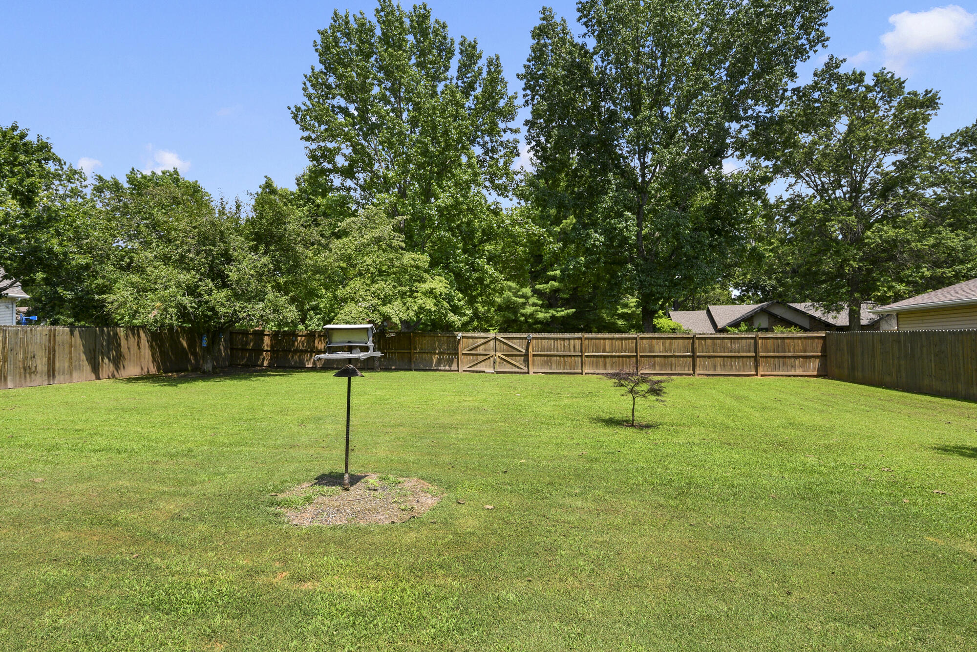 701 Spears Avenue Property Photo 44