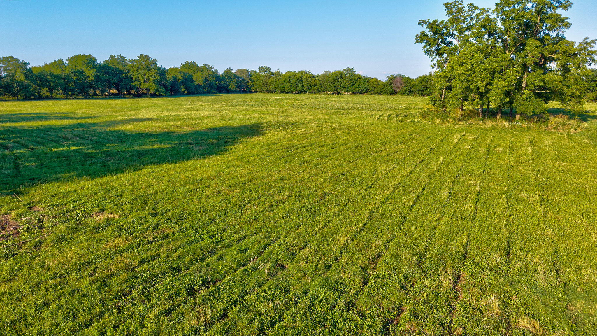 16840 Missouri 14 Property Photo 11