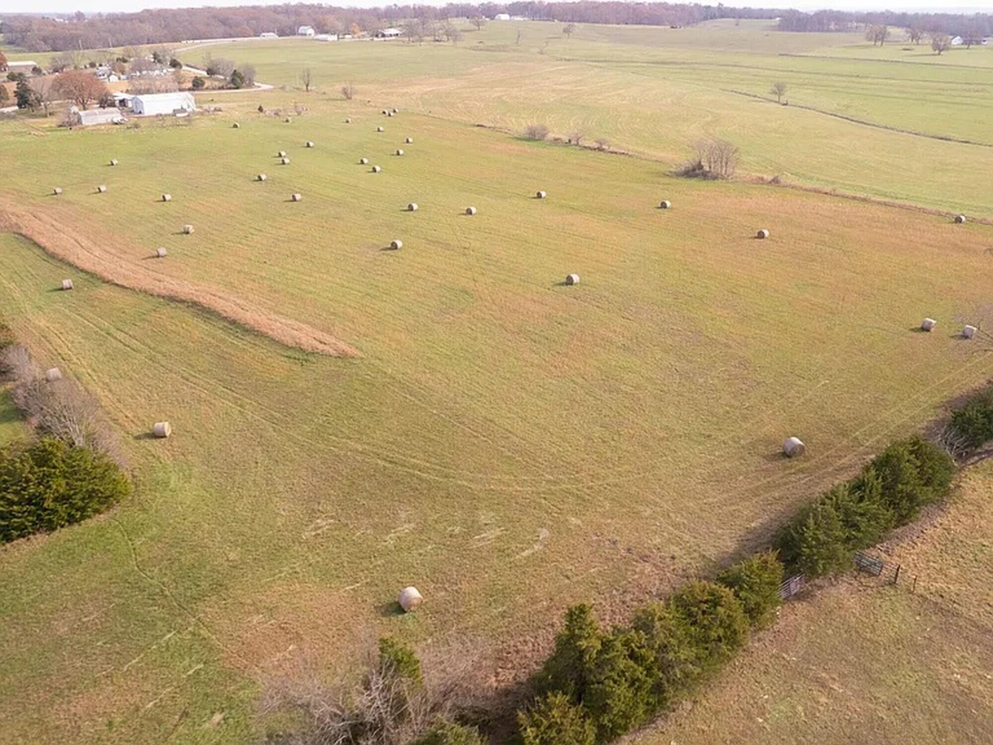 239 Ozark Loop Lot 1 & 4 Property Photo 8