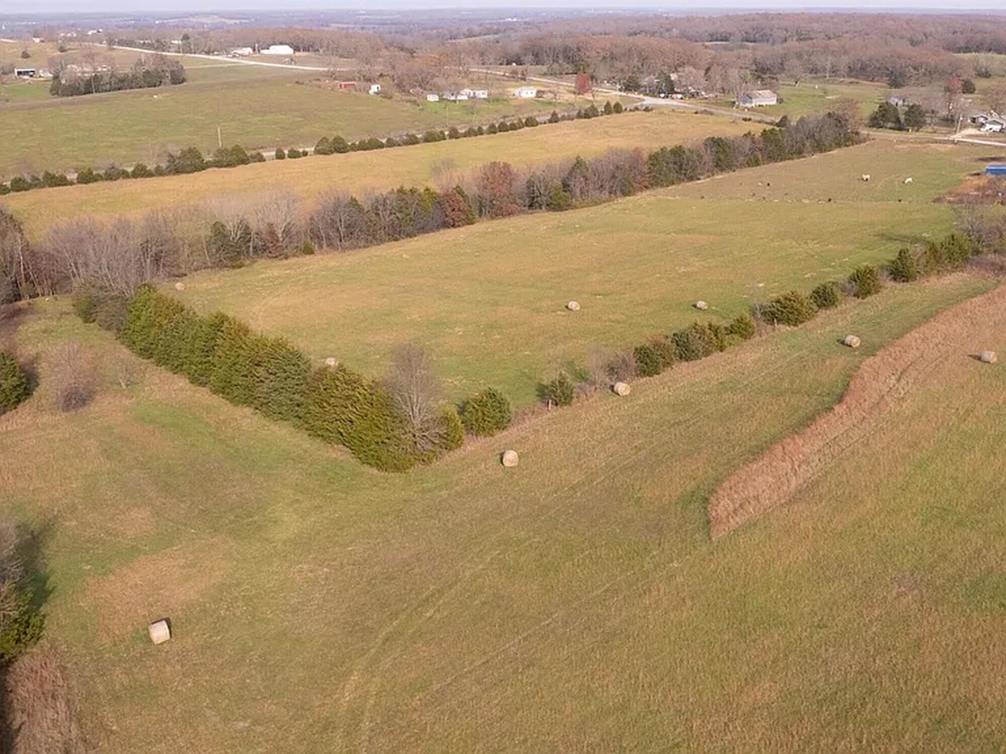 239 Ozark Loop Lot 1 & 4 Property Photo 9
