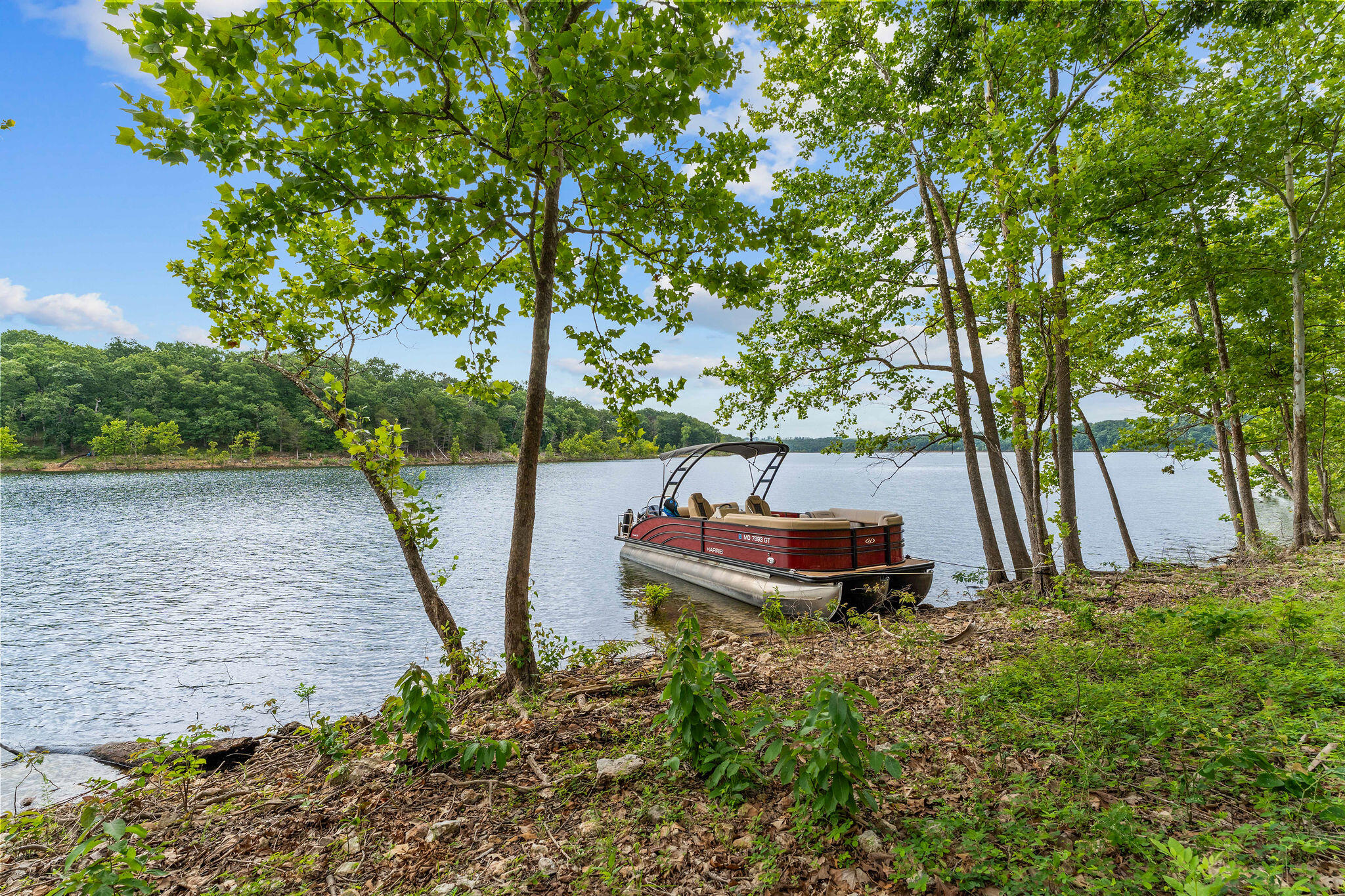 23878 Cherry Lane Property Photo 6