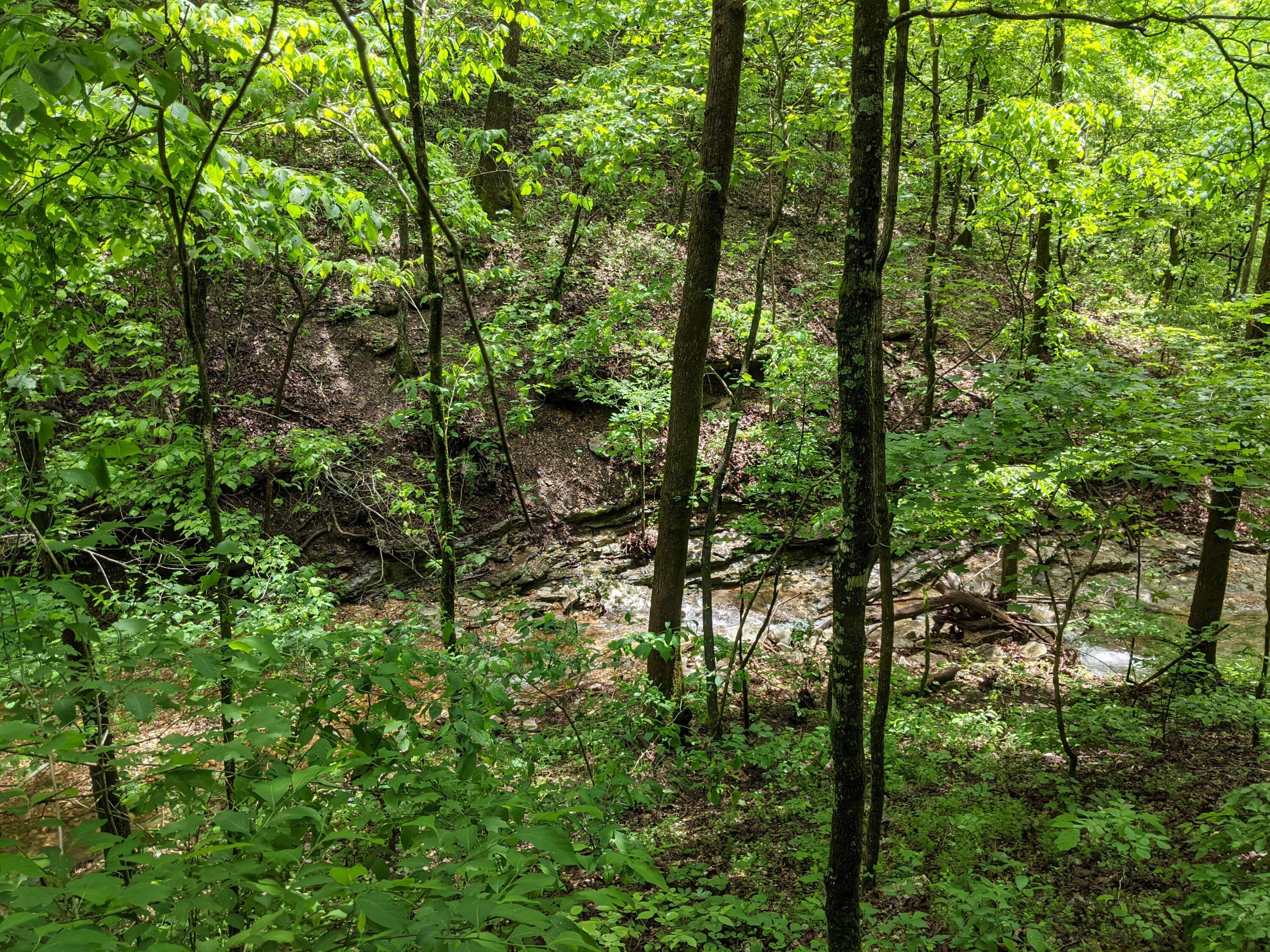 000 Coyote Ridge Road Property Photo 8