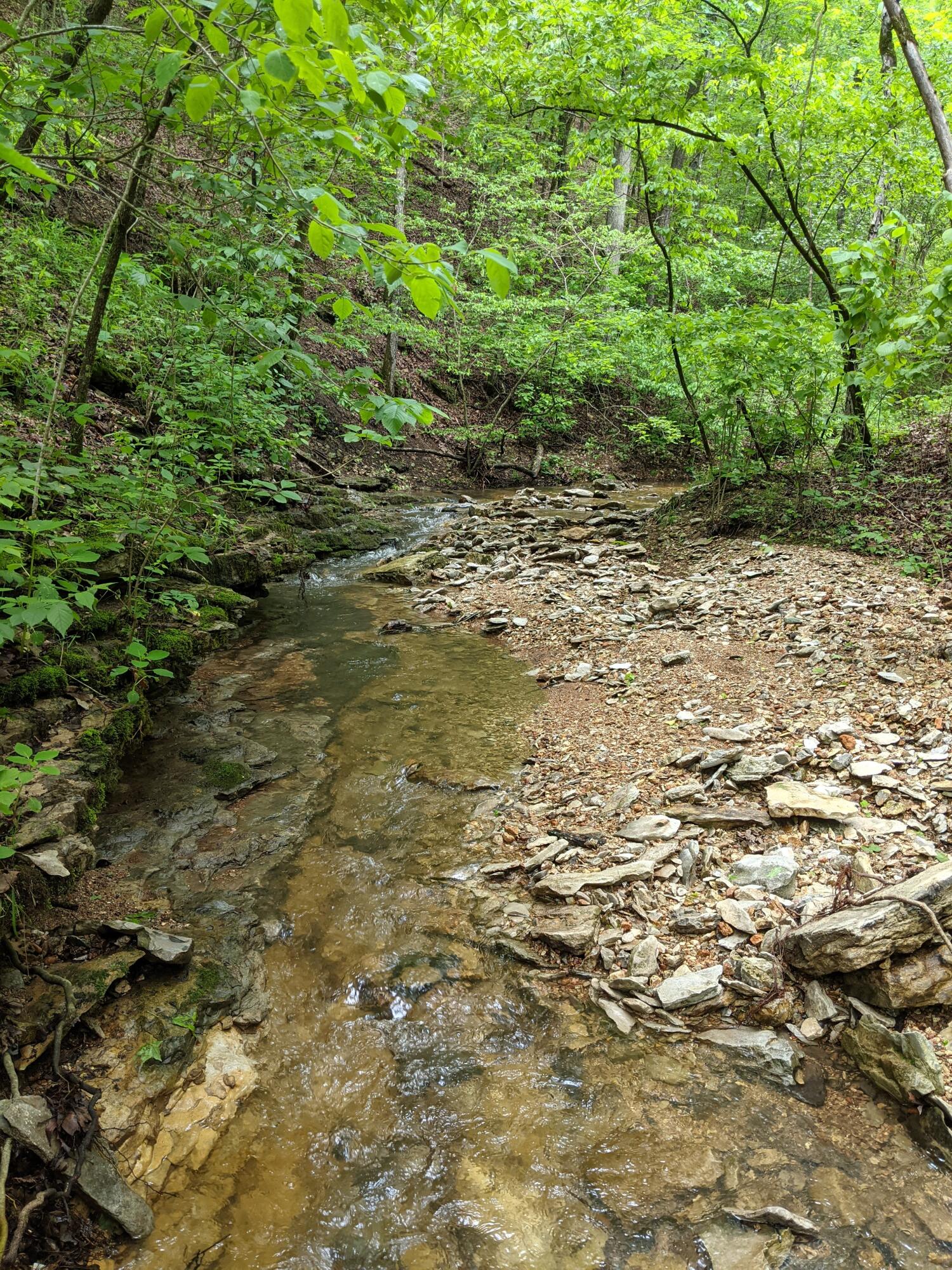000 Coyote Ridge Road Property Photo 12