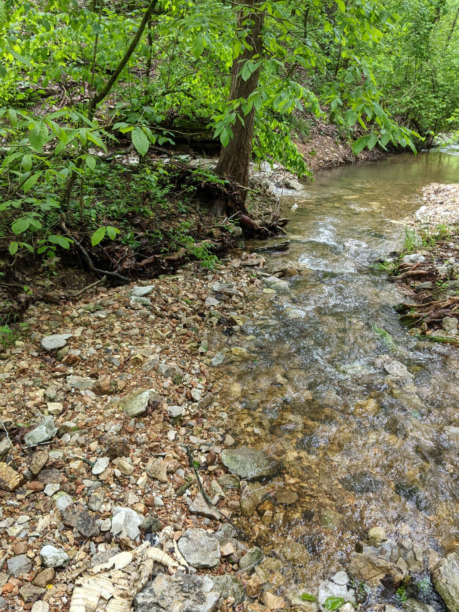 000 Coyote Ridge Road Property Photo 14