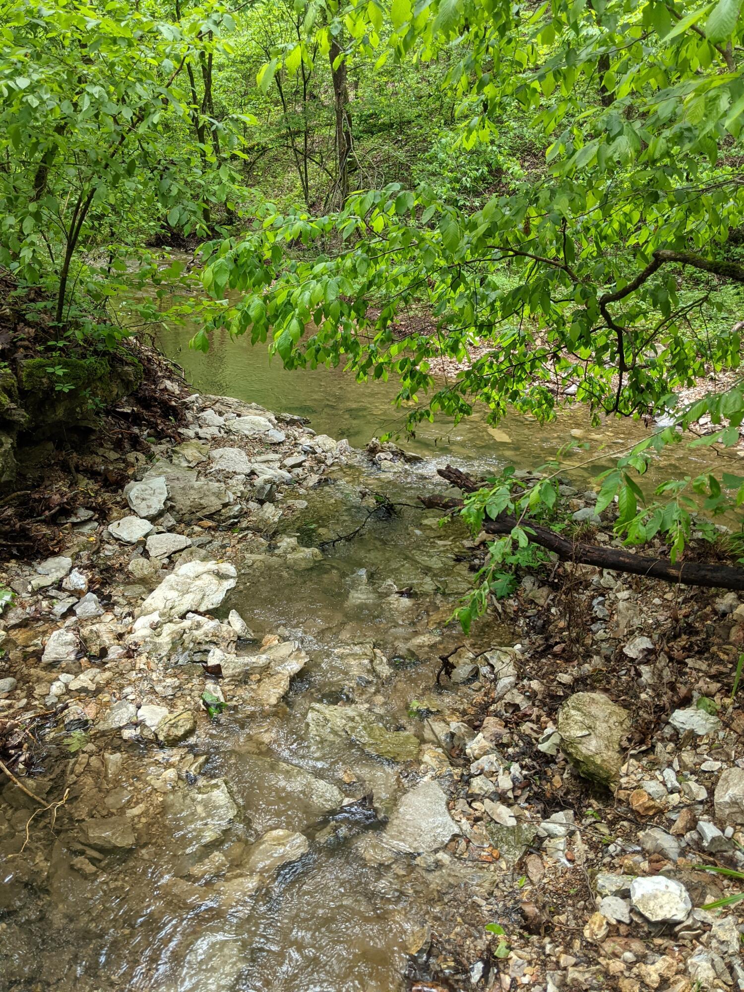 000 Coyote Ridge Road Property Photo 15