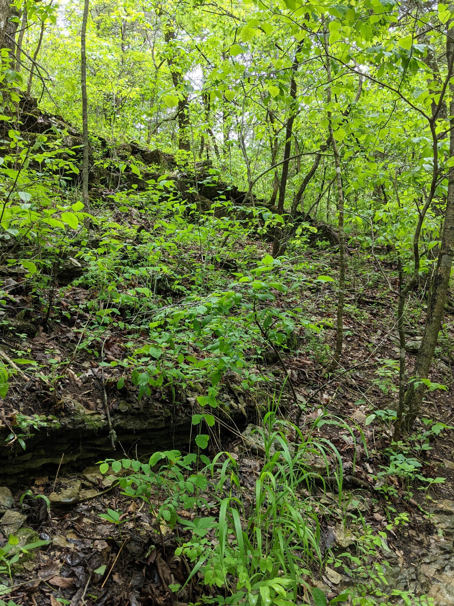 000 Coyote Ridge Road Property Photo 18