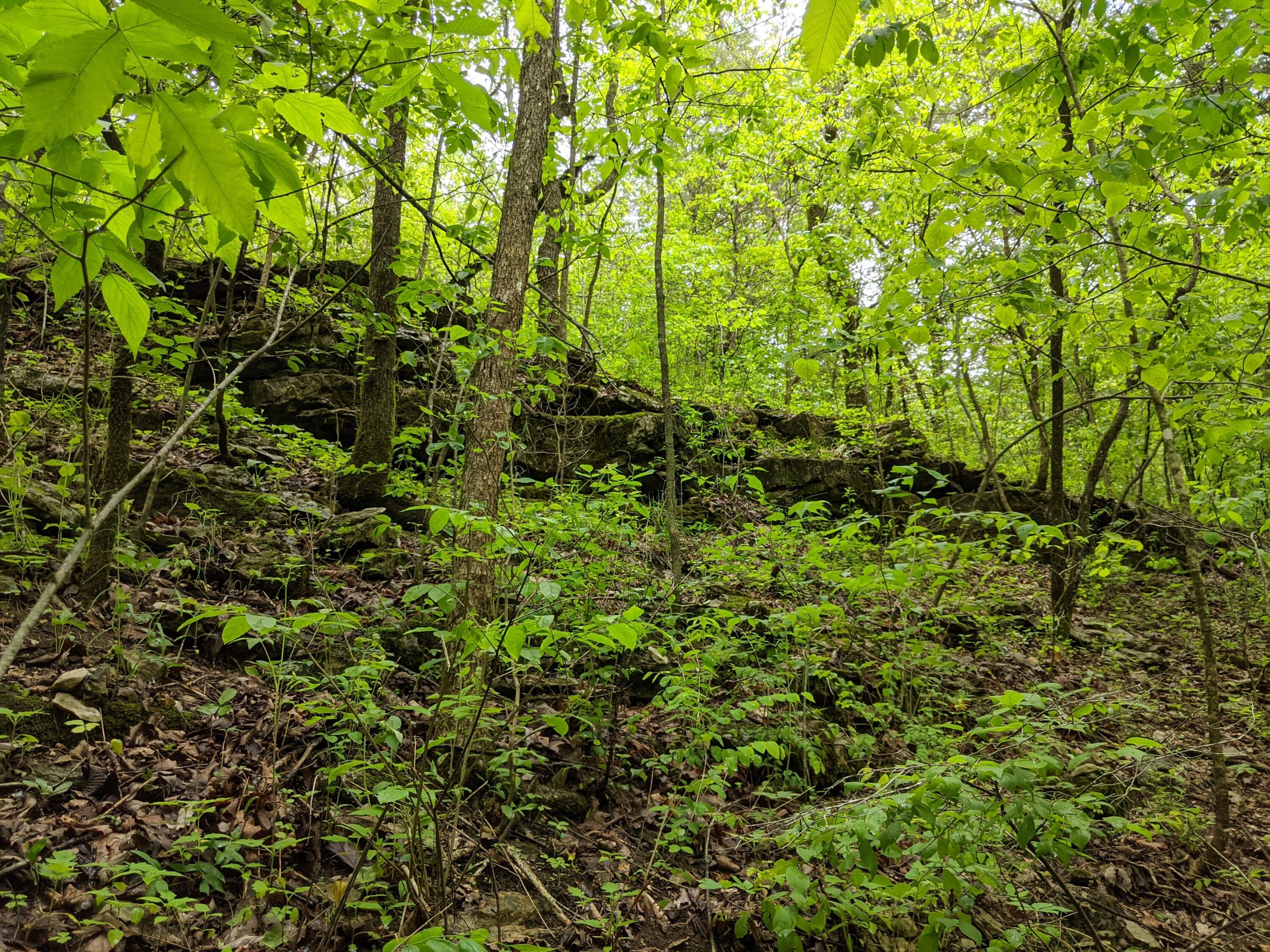 000 Coyote Ridge Road Property Photo 19