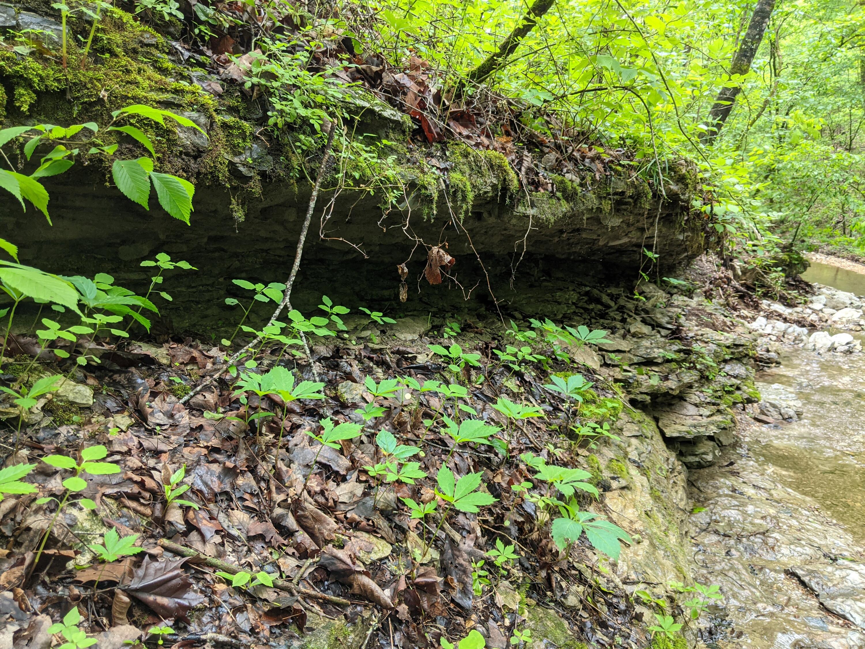 000 Coyote Ridge Road Property Photo 21