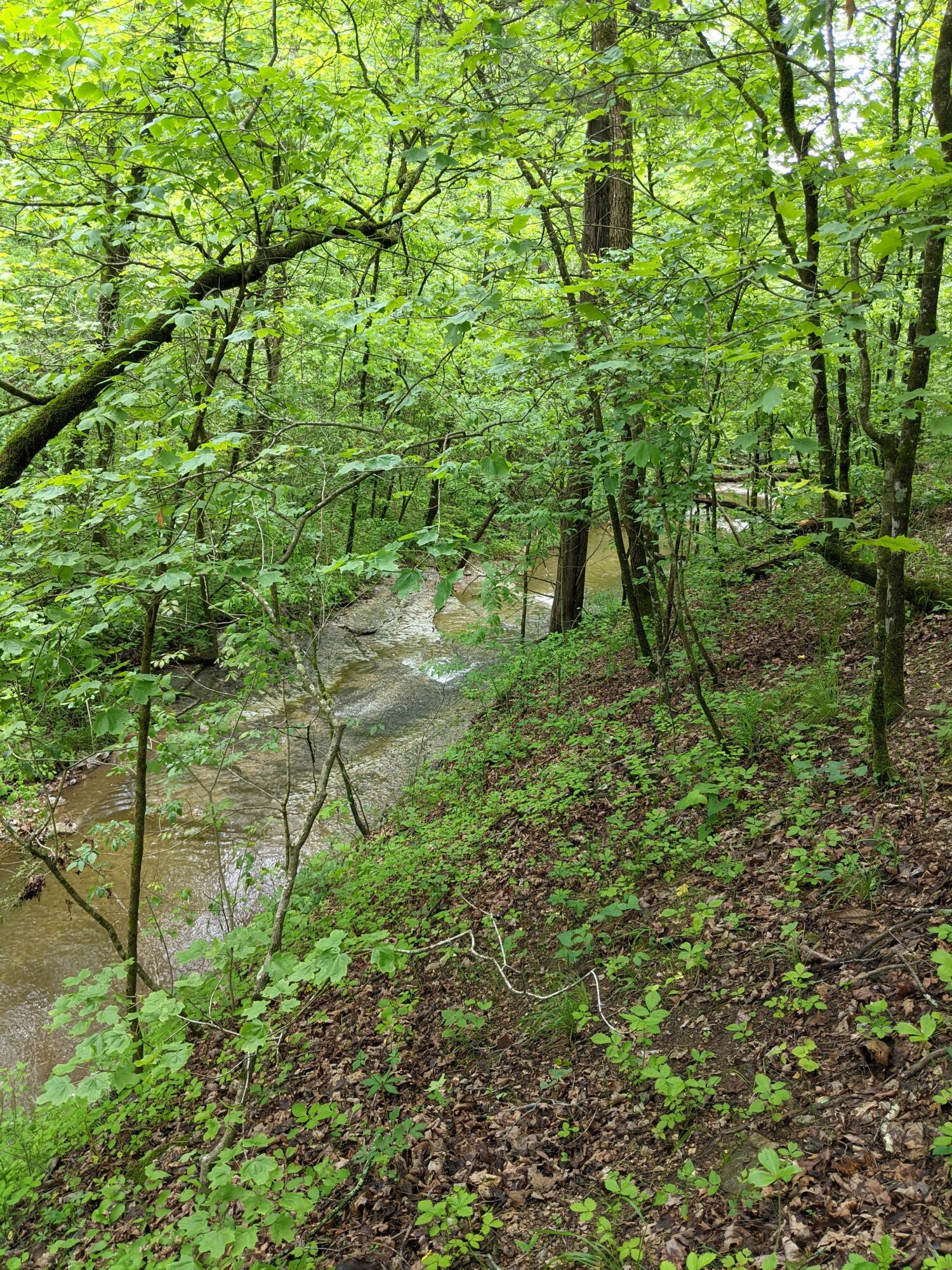 000 Coyote Ridge Road Property Photo 27