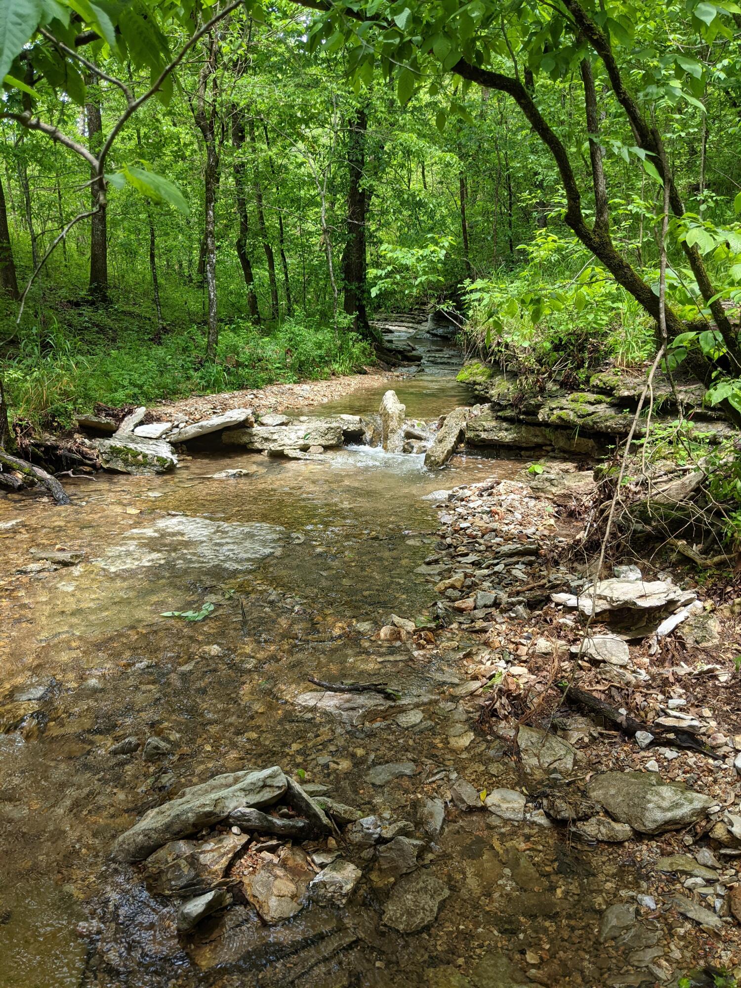 000 Coyote Ridge Road Property Photo 35
