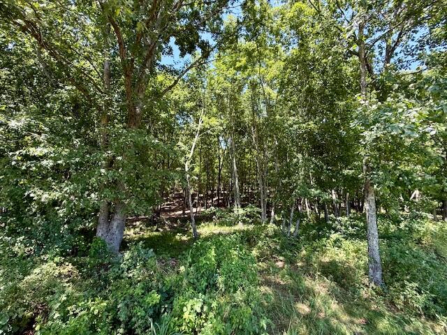 6793 County Road 3400 Property Photo 58