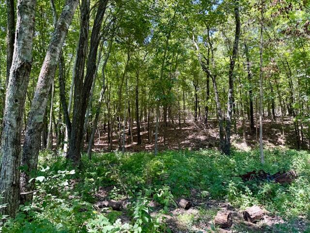 6793 County Road 3400 Property Photo 62