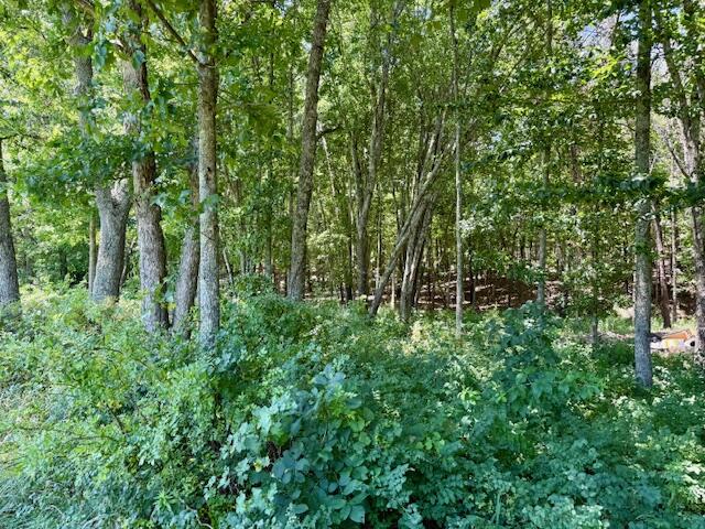 6793 County Road 3400 Property Photo 63