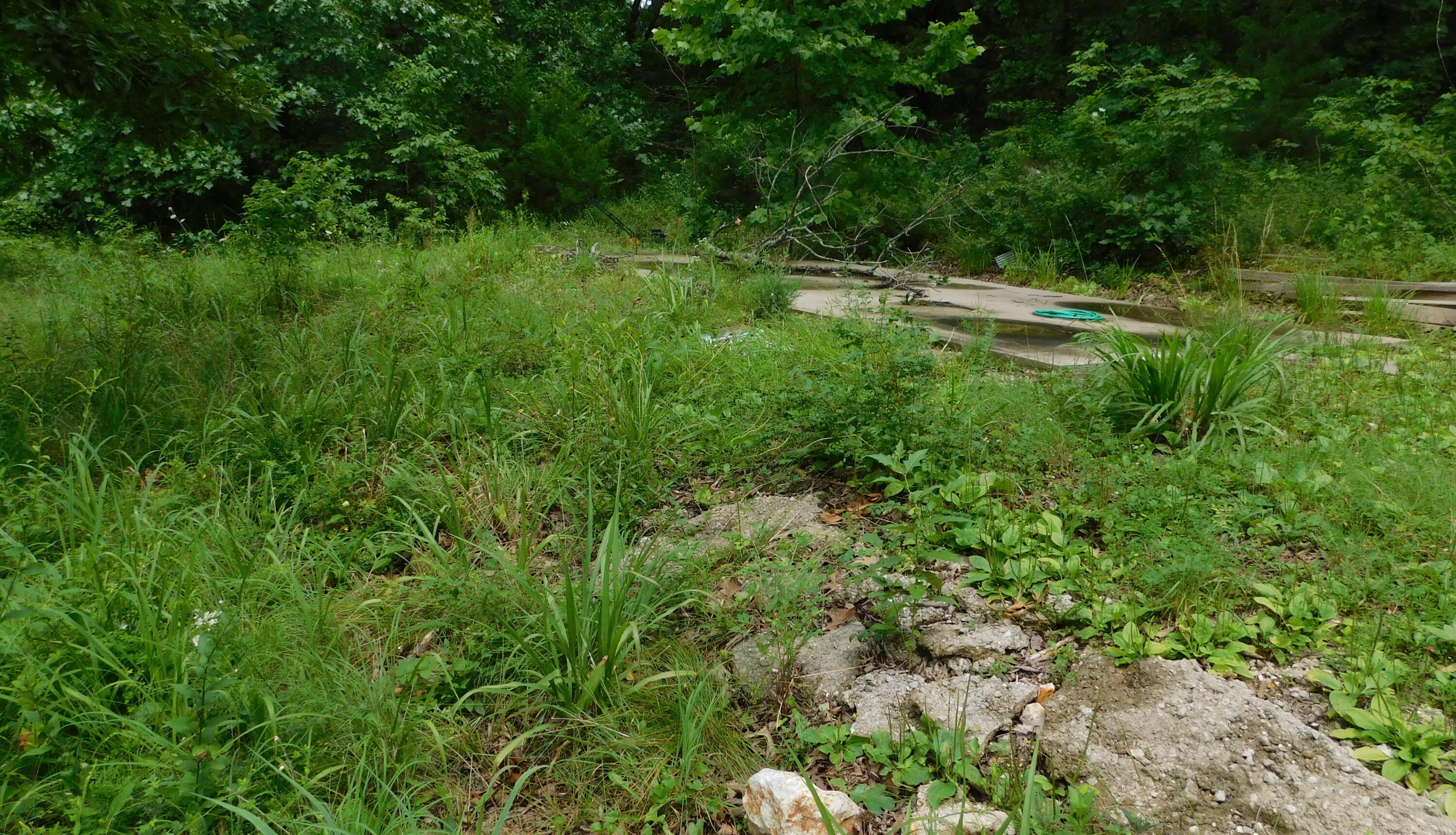 4286 Southeast 871 Road Property Photo 4