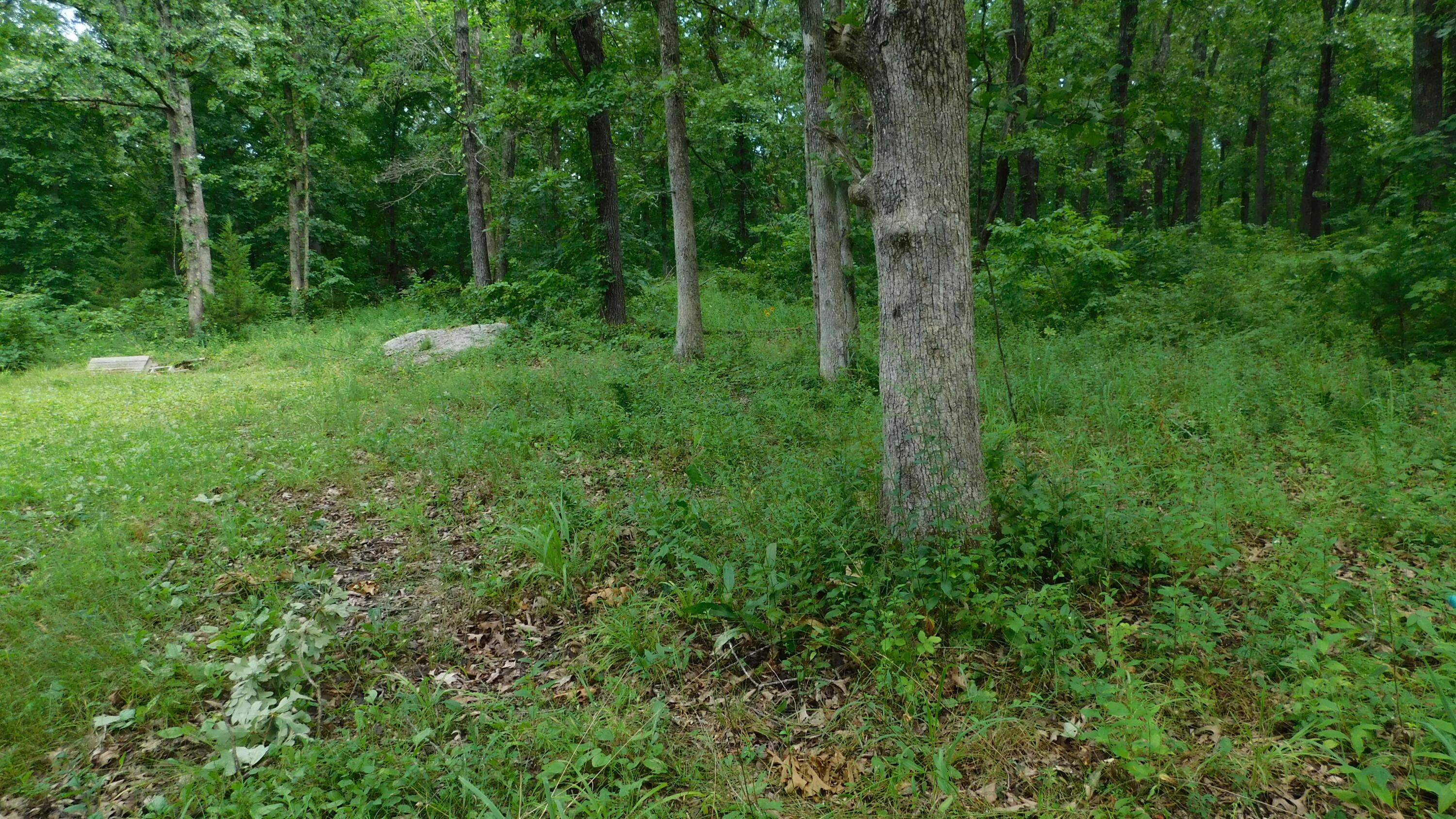 4286 Southeast 871 Road Property Photo 5