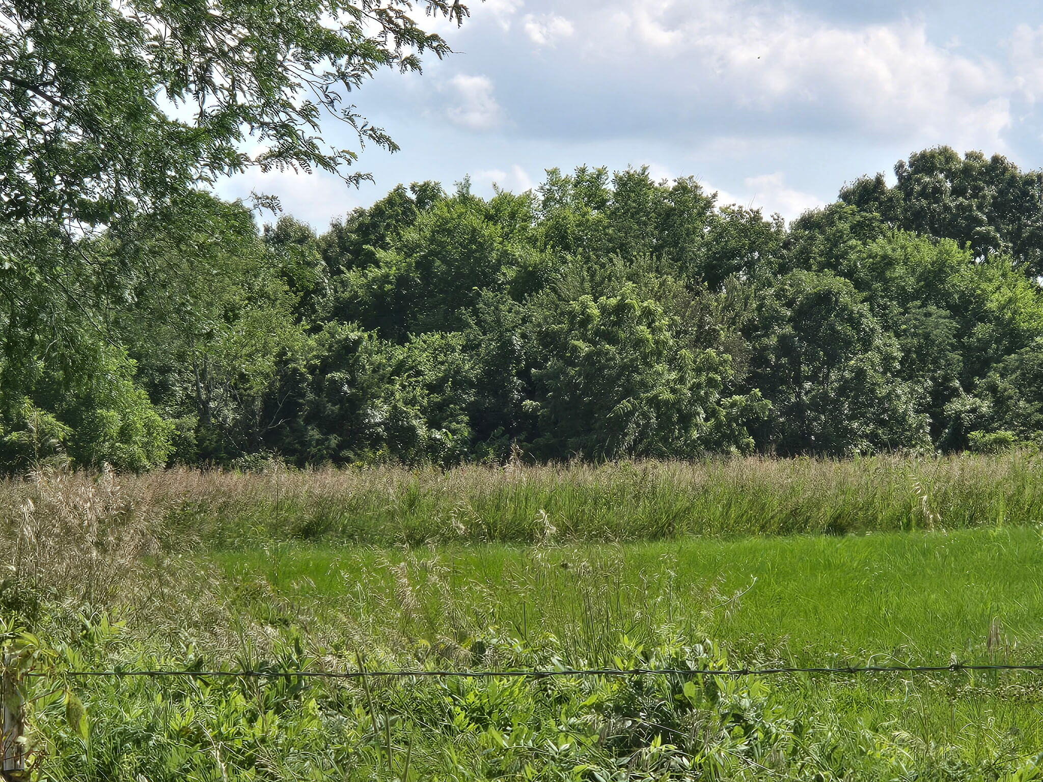 000 State Highway 65 Property Photo 1