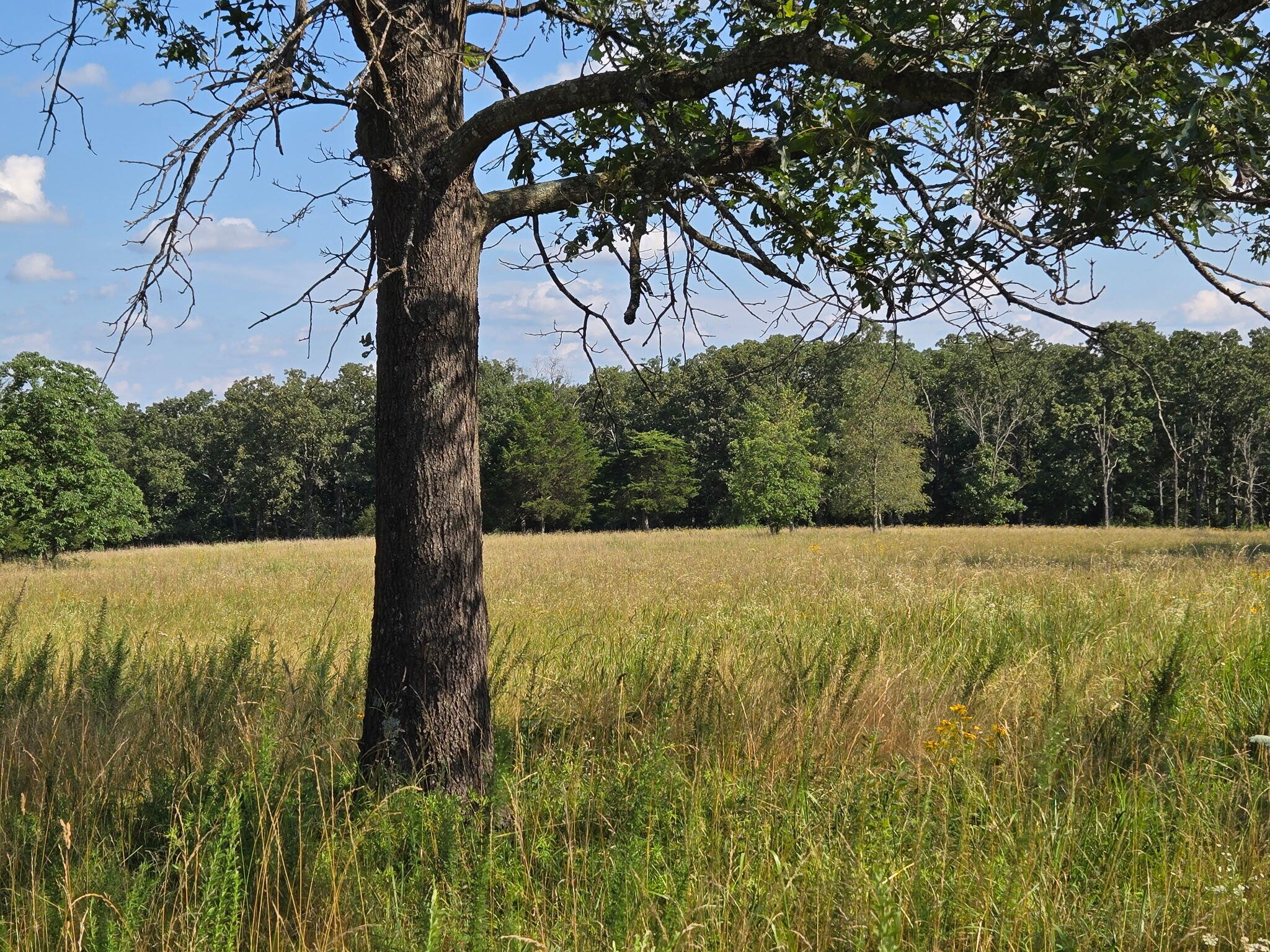 000 State Highway 65 Property Photo 4