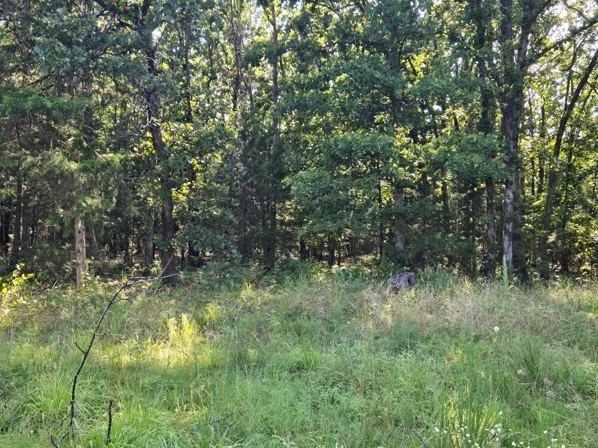 000 State Highway 65 Property Photo 5