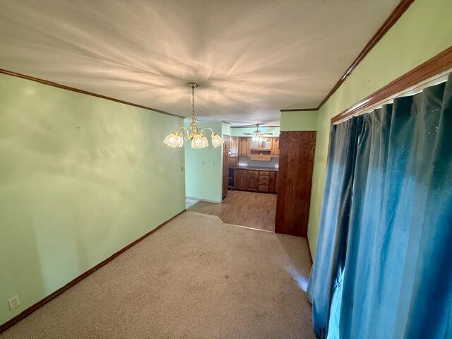 2001 Dewey Street Property Photo 5