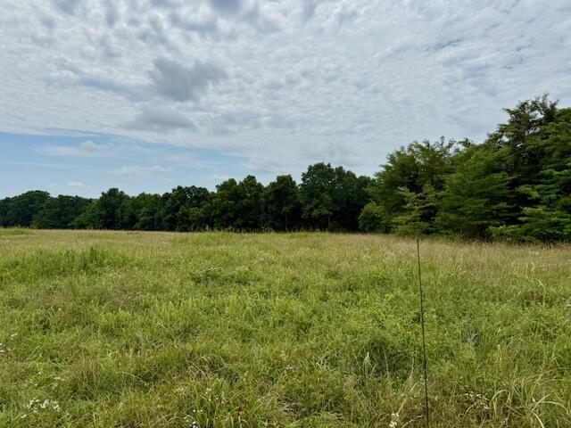 000 State Highway 76 Property Photo 5