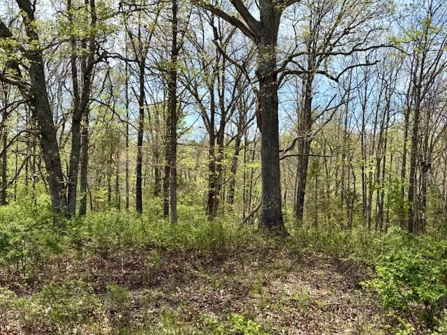 000 State Highway 76 Property Photo 11