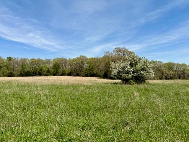 000 State Highway 76 Property Photo 16