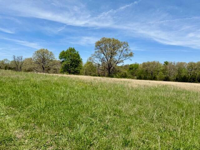 000 State Highway 76 Property Photo 17