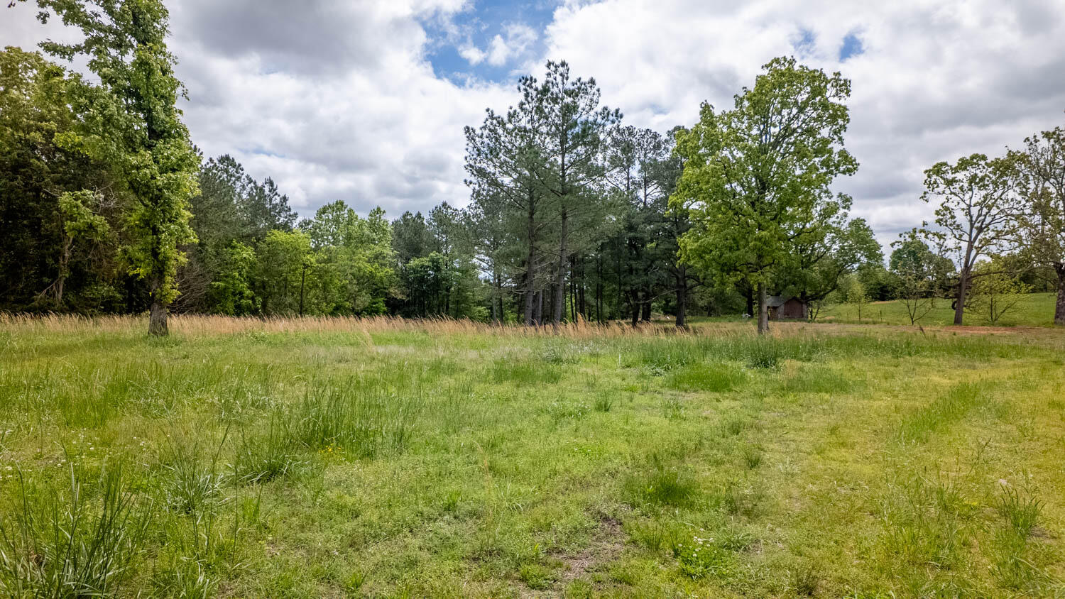 5558 Mo 142 Property Photo 17