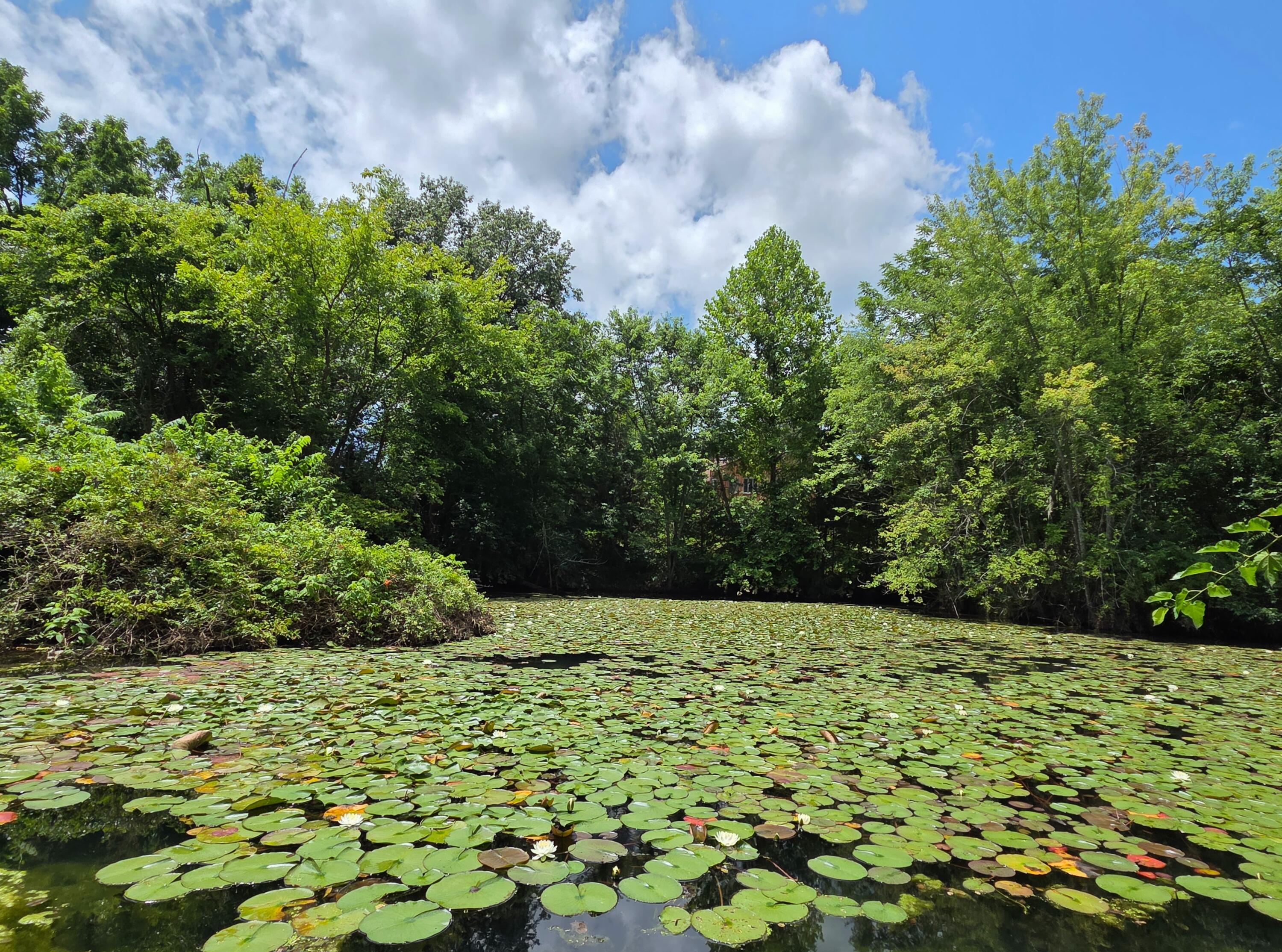 4660 South Wilsons Creek Boulevard Property Photo 13
