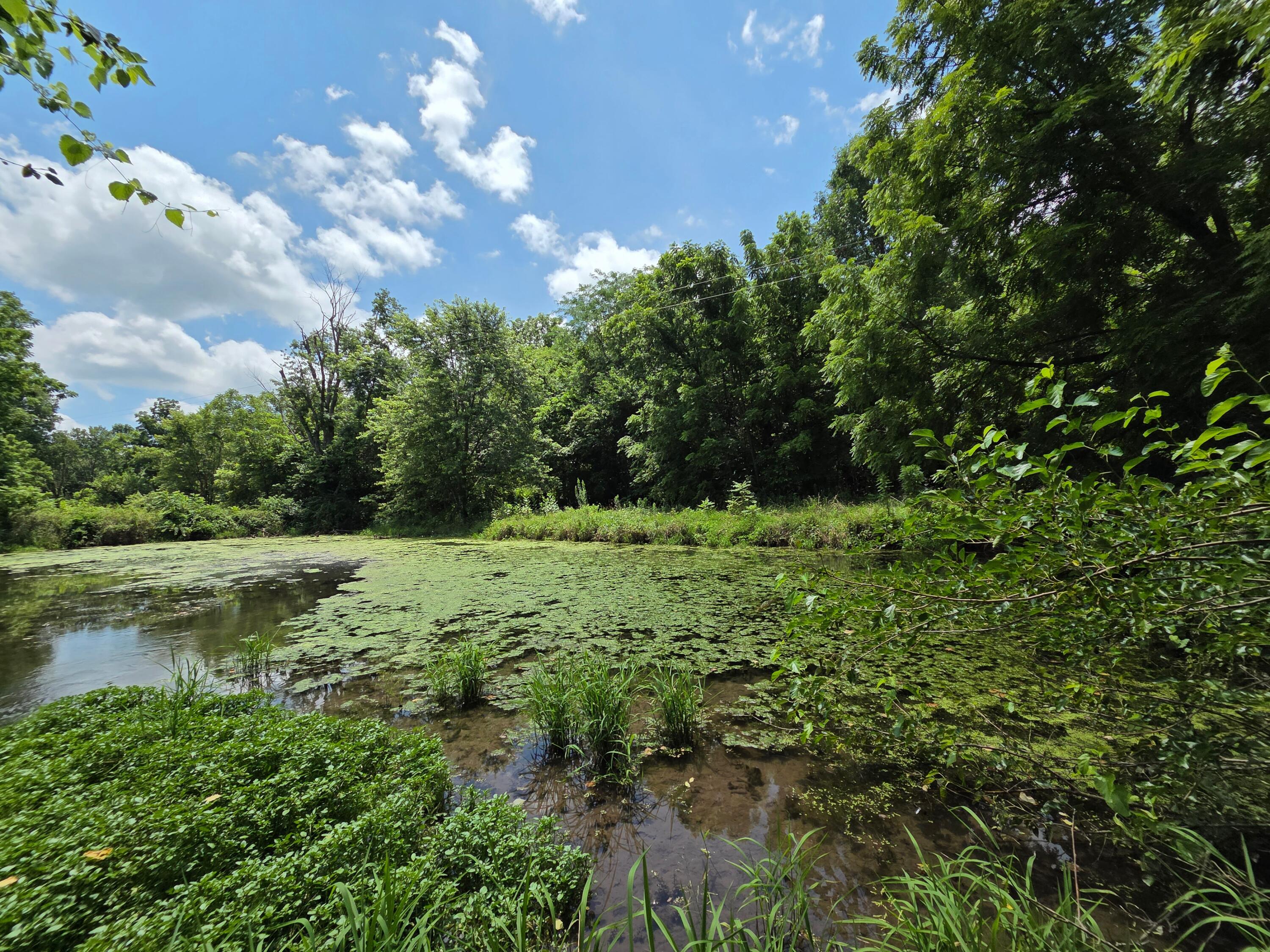 4660 South Wilsons Creek Boulevard Property Photo 15