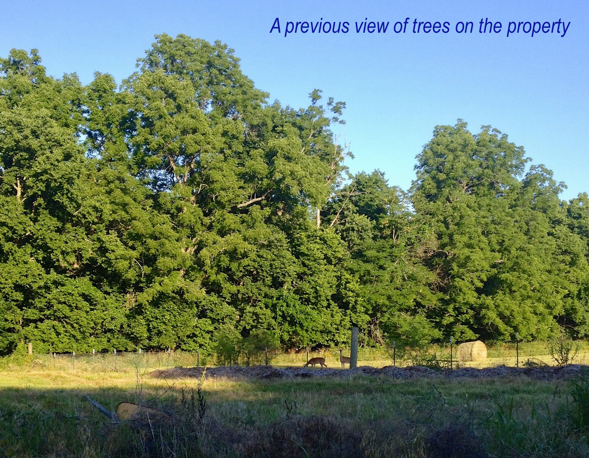 4660 South Wilsons Creek Boulevard Property Photo 172