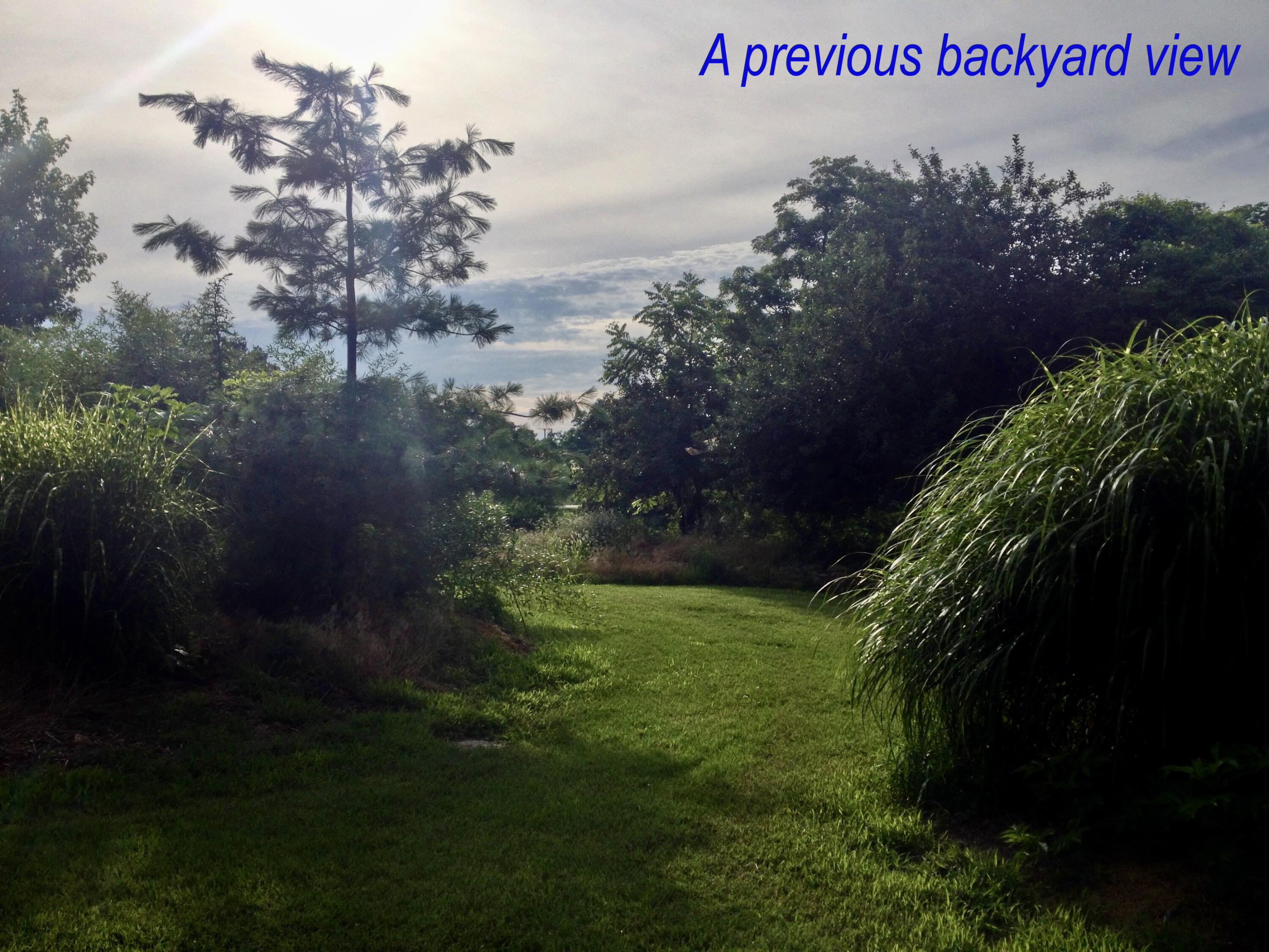 4660 South Wilsons Creek Boulevard Property Photo 197