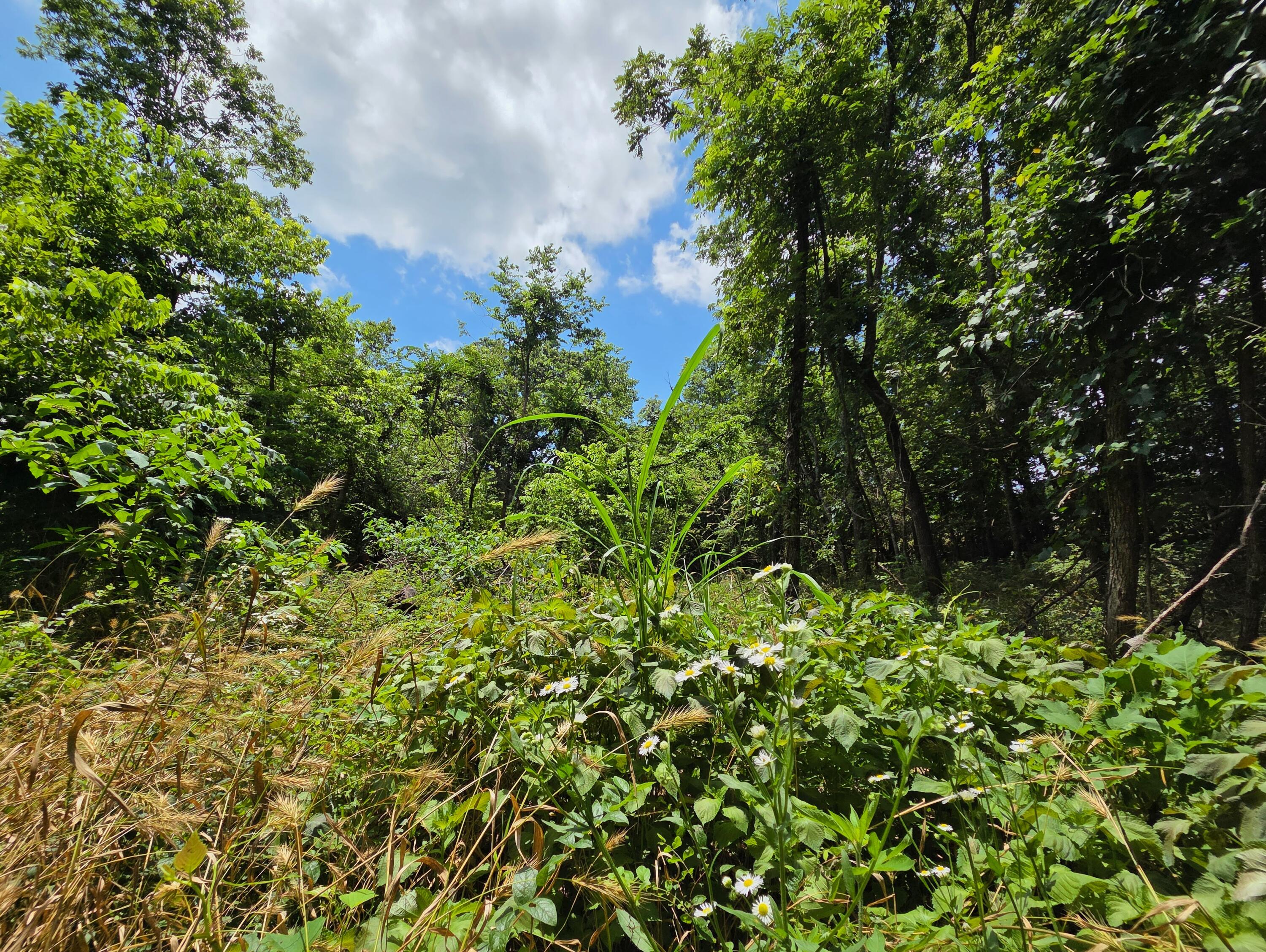 4660 South Wilsons Creek Boulevard Property Photo 33