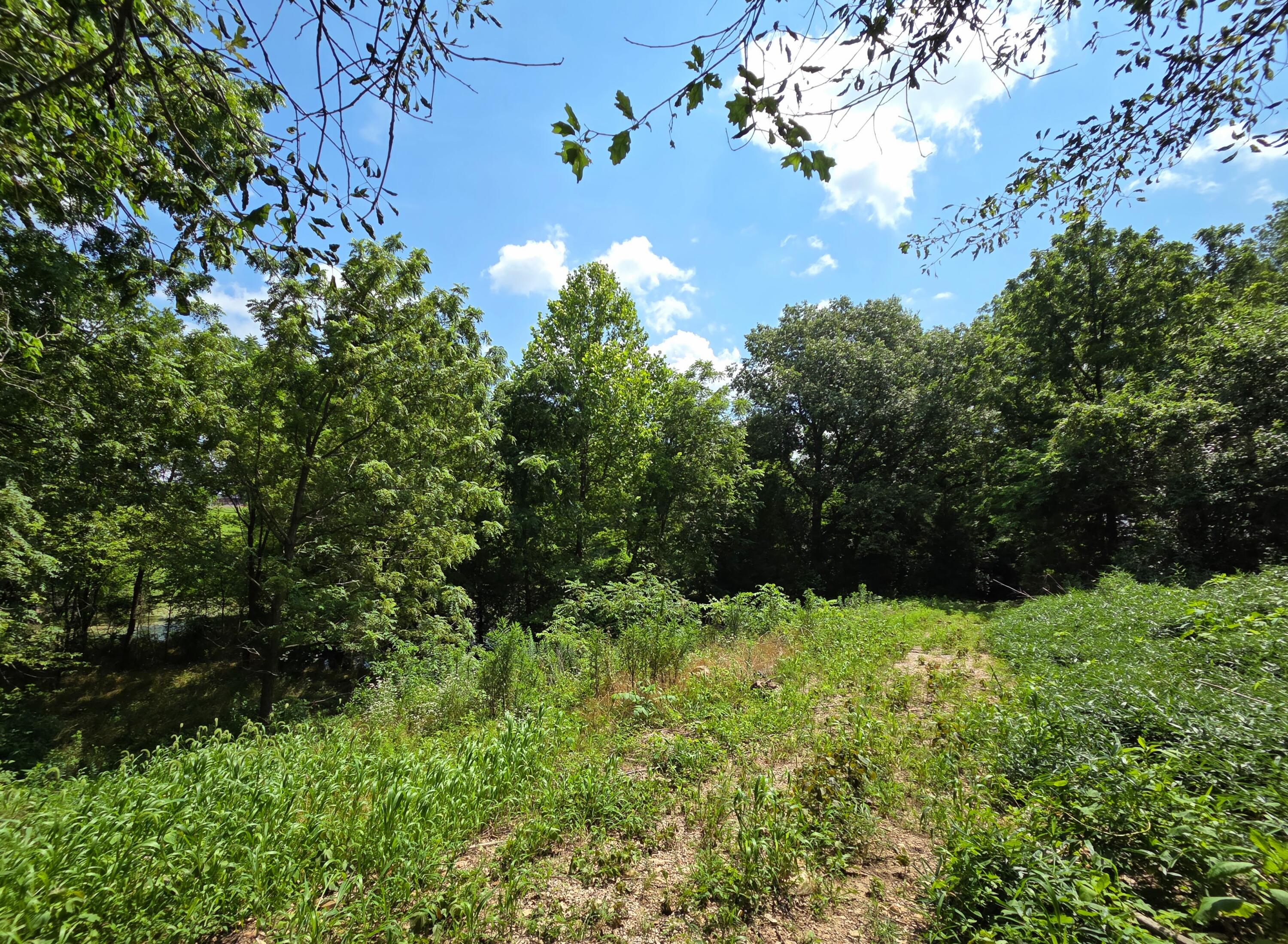 4660 South Wilsons Creek Boulevard Property Photo 179