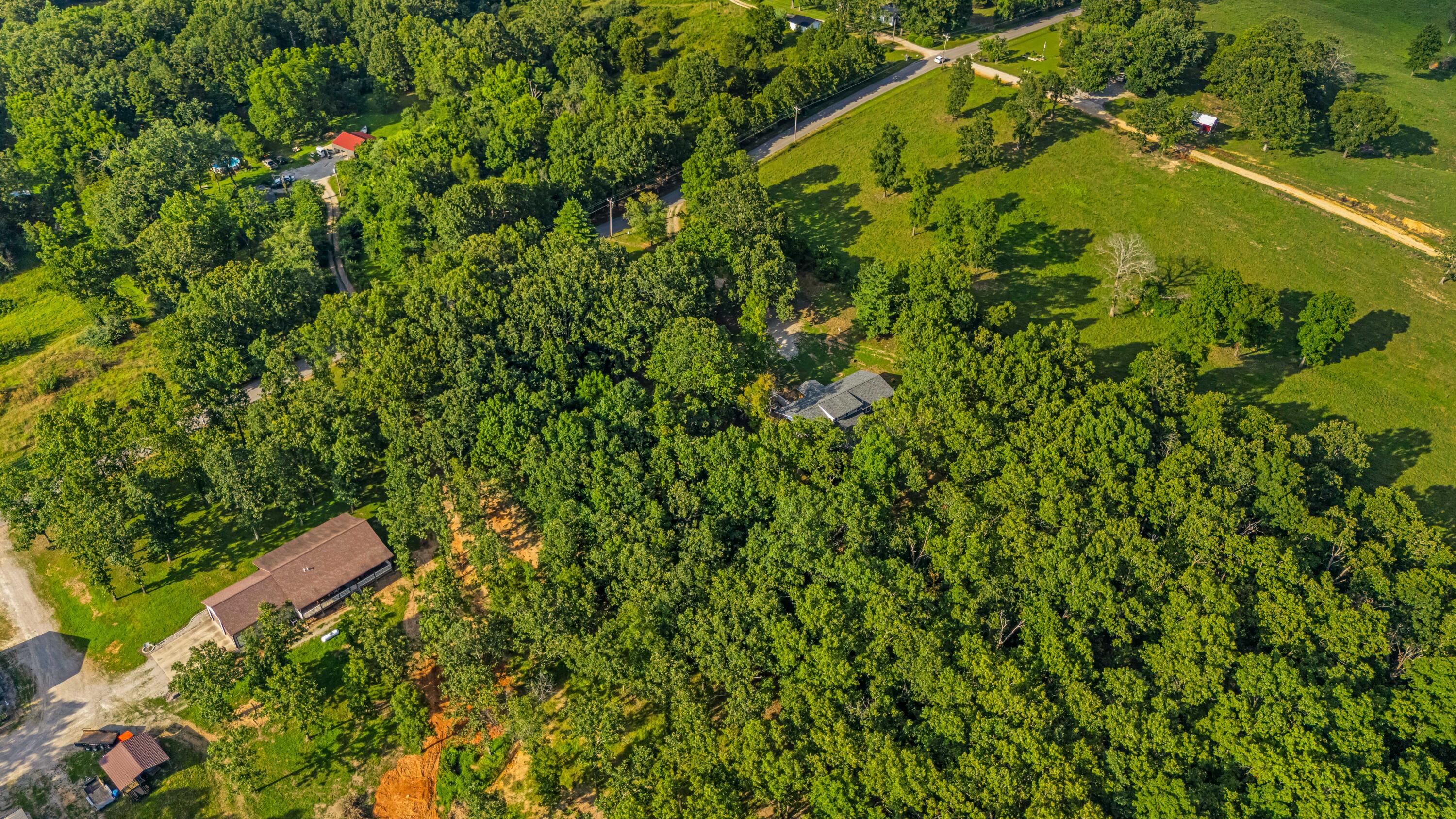 486 County Road 1280 Property Photo 51