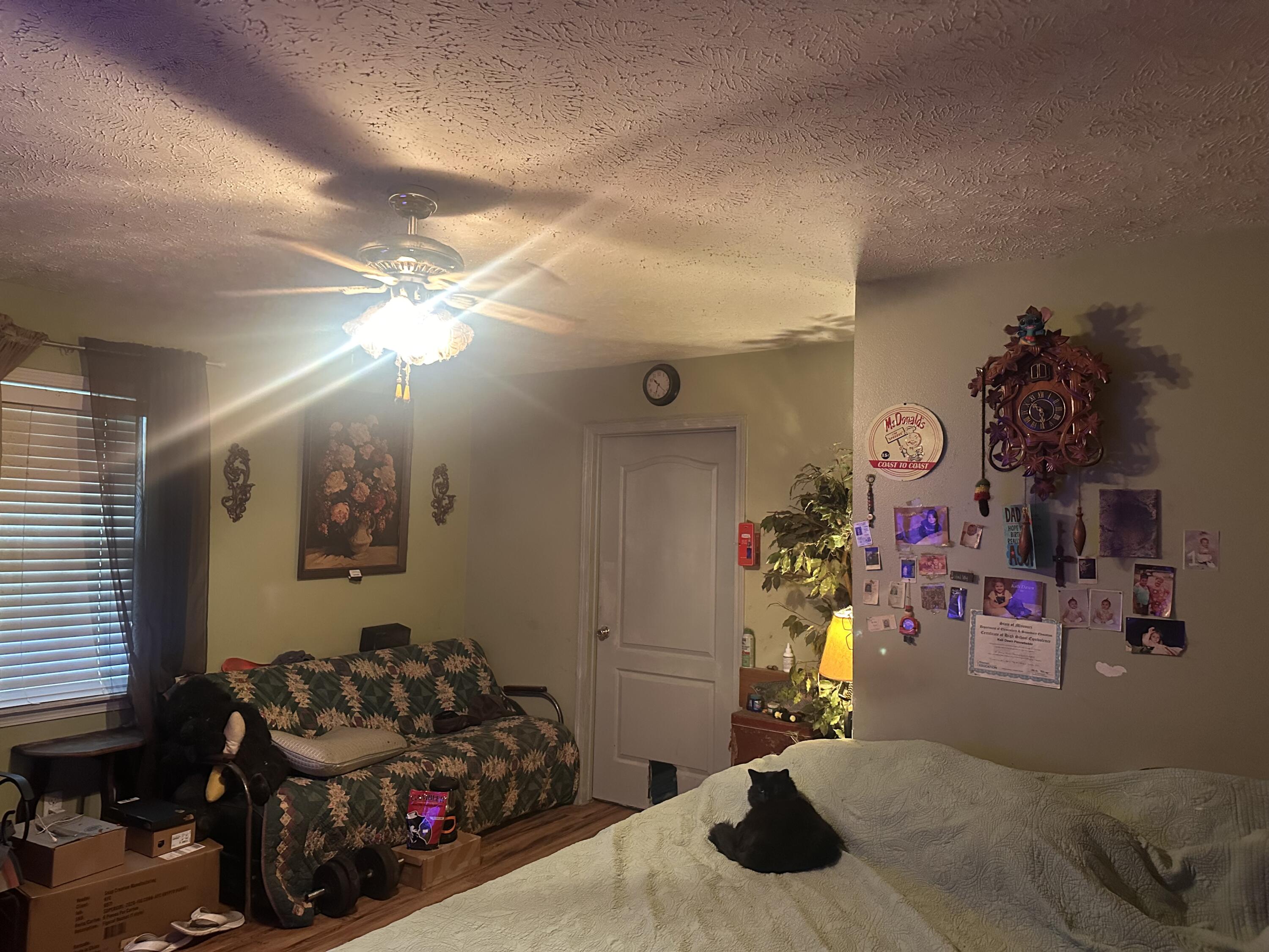 604 Paradise Heights Drive Property Photo 29