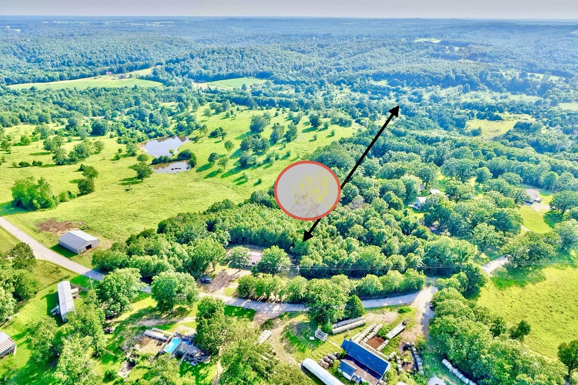 25205 Ranch Drive Property Photo 4