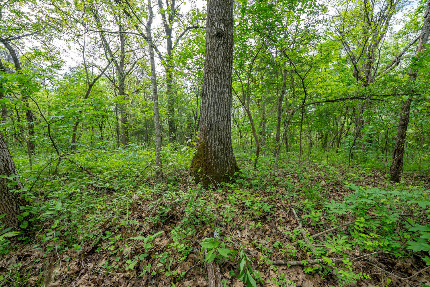 000 County Road 817 Property Photo 10