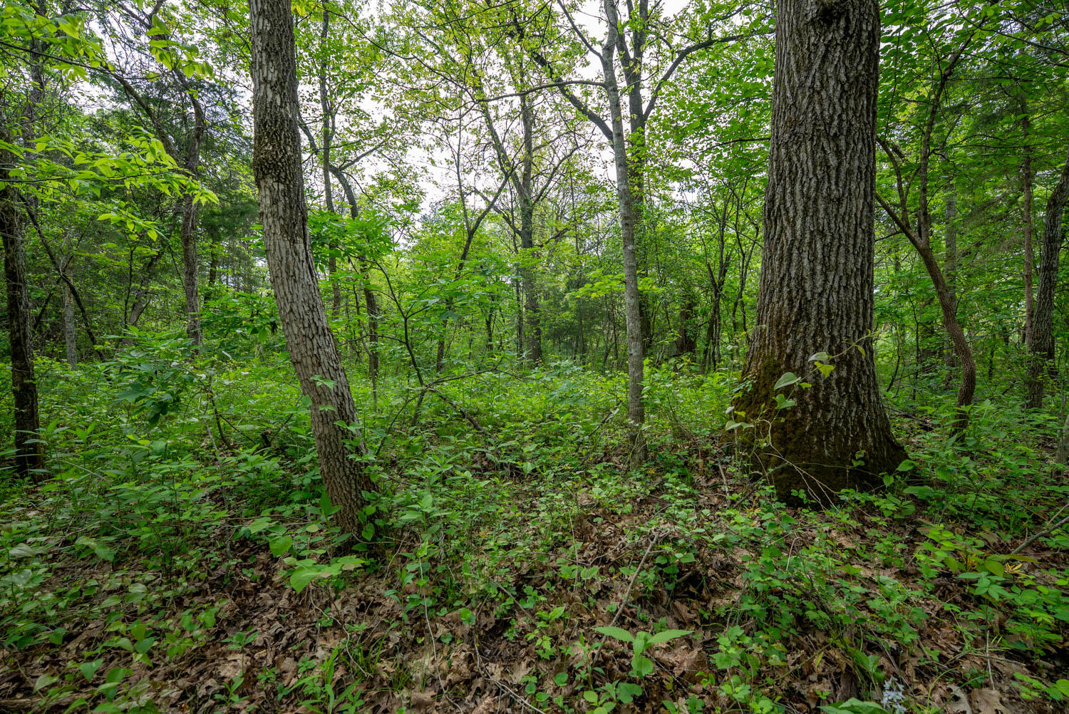 000 County Road 817 Property Photo 12